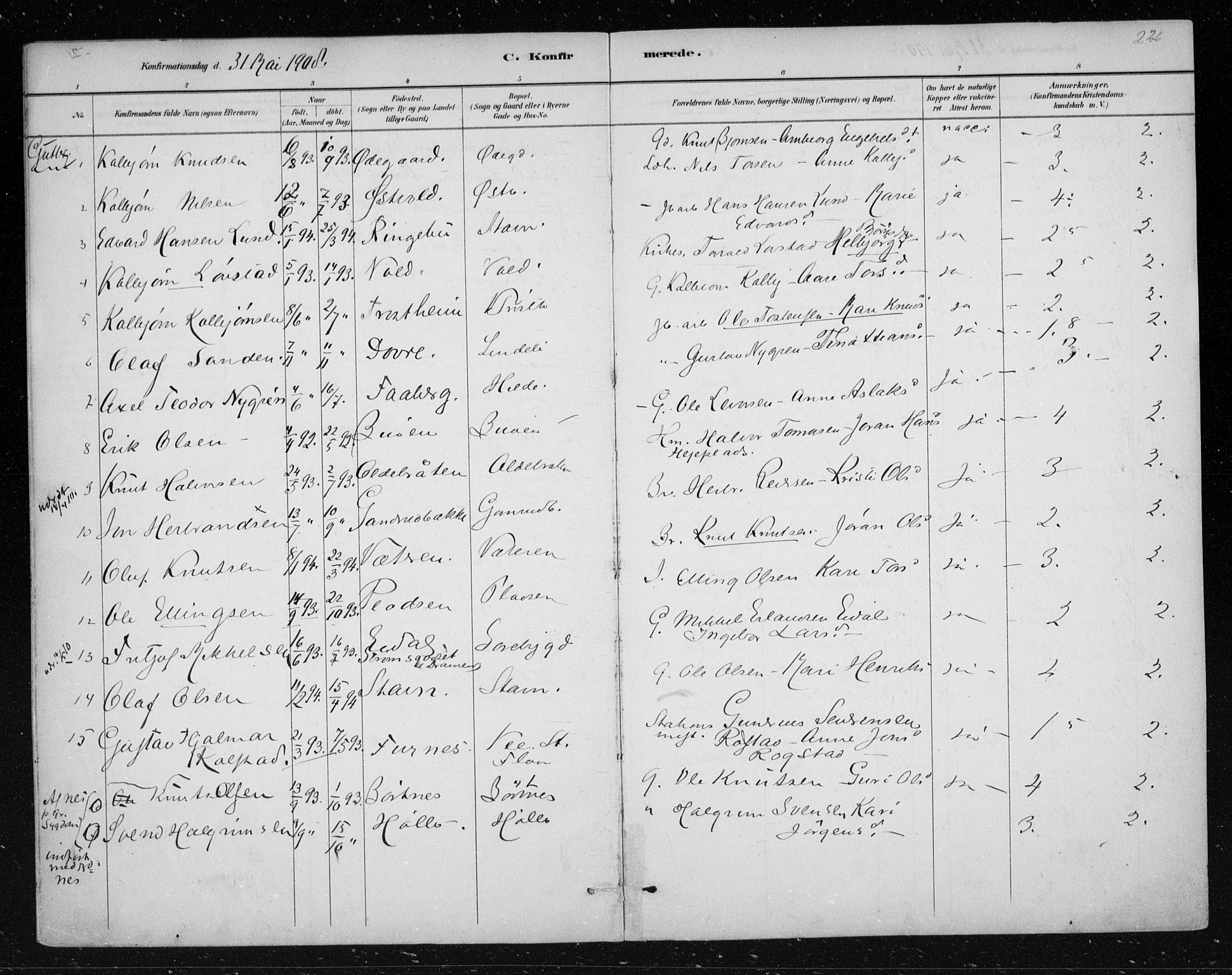 Nes kirkebøker, AV/SAKO-A-236/F/Fa/L0012: Parish register (official) no. 12, 1881-1917, p. 226