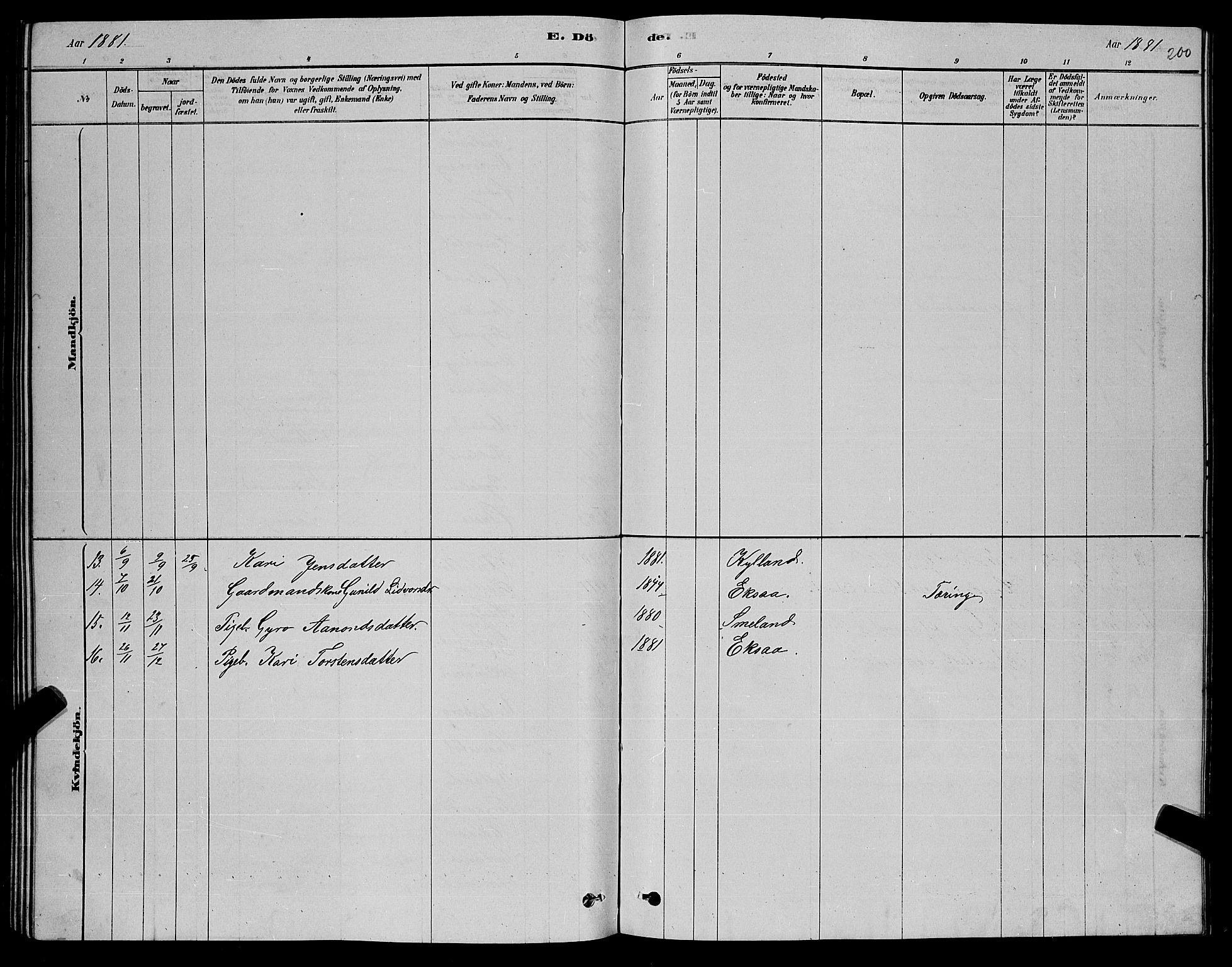 Åseral sokneprestkontor, AV/SAK-1111-0051/F/Fb/L0002: Parish register (copy) no. B 2, 1878-1899, p. 200