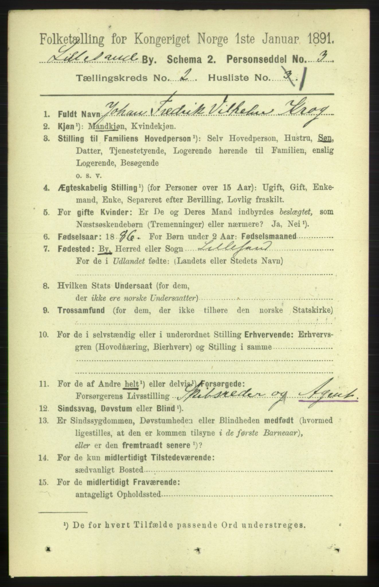 RA, 1891 census for 0905 Lillesand, 1891, p. 271