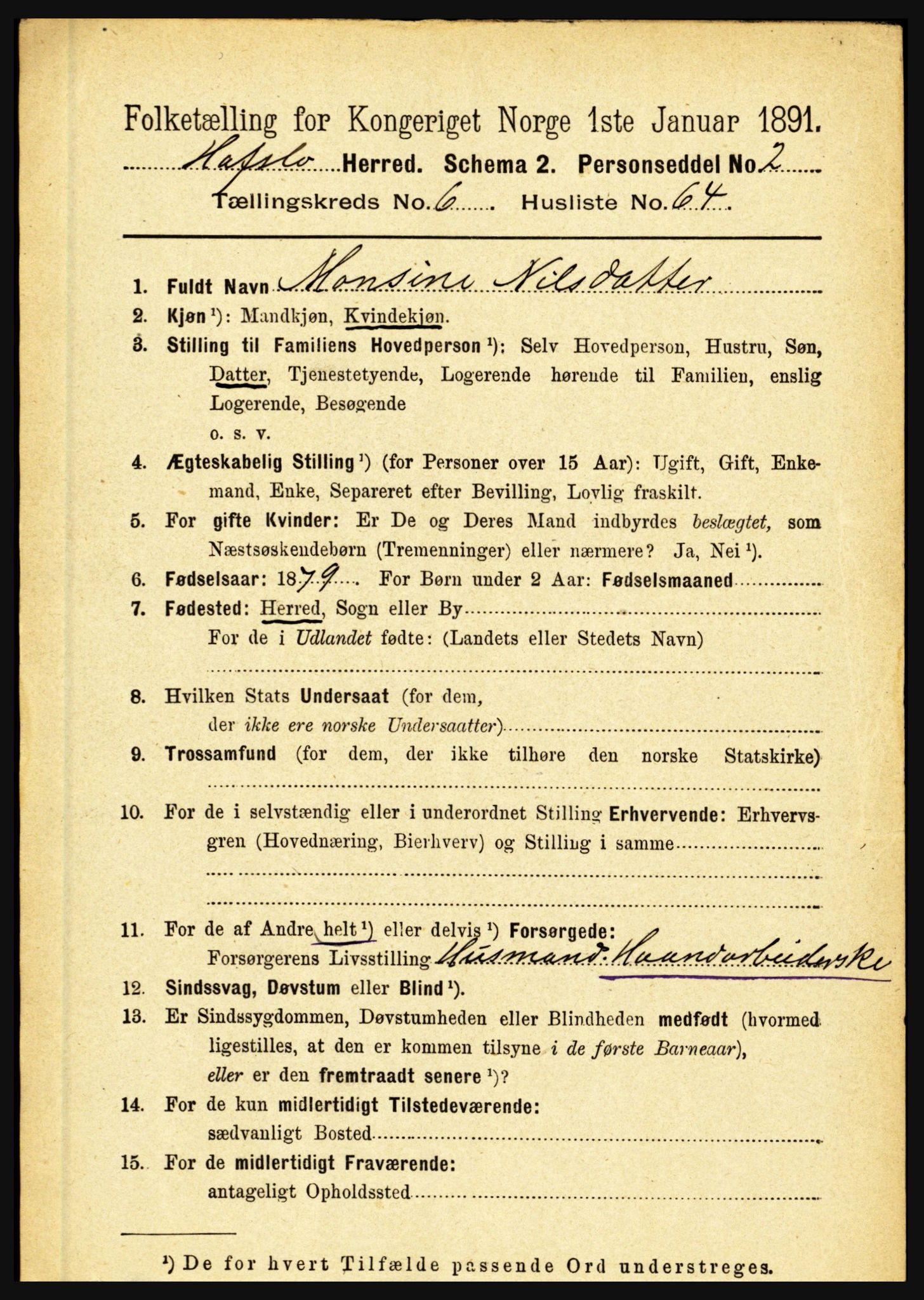 RA, 1891 census for 1425 Hafslo, 1891, p. 2664