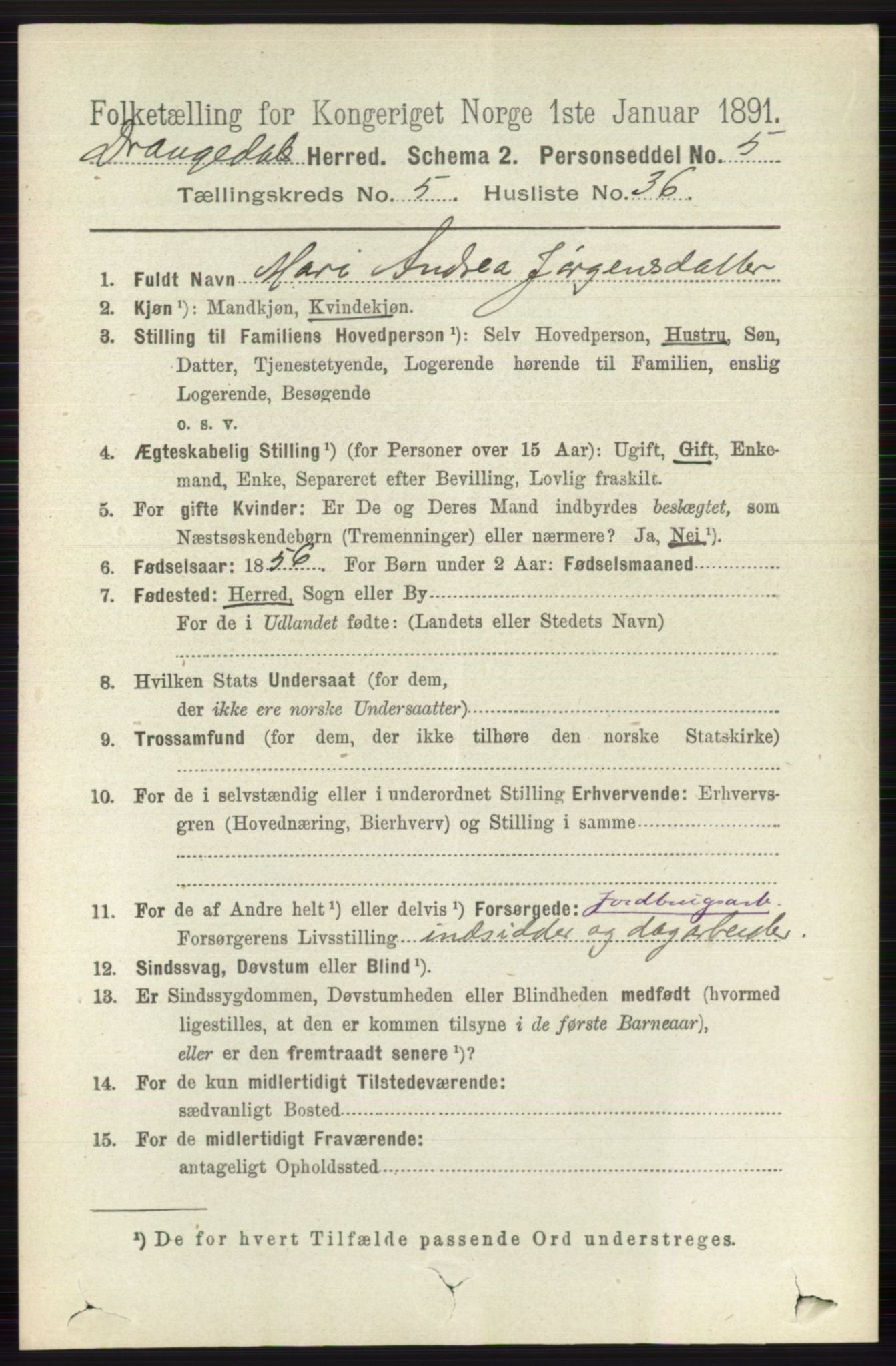 RA, 1891 census for 0817 Drangedal, 1891, p. 1915