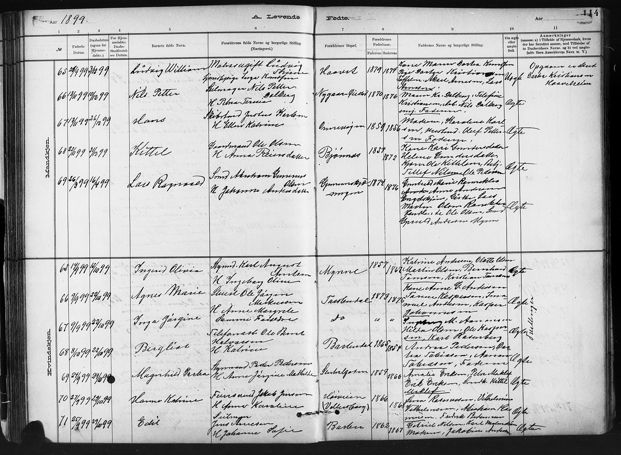 Barbu sokneprestkontor, SAK/1111-0003/F/Fb/L0002: Parish register (copy) no. B 2, 1890-1922, p. 114
