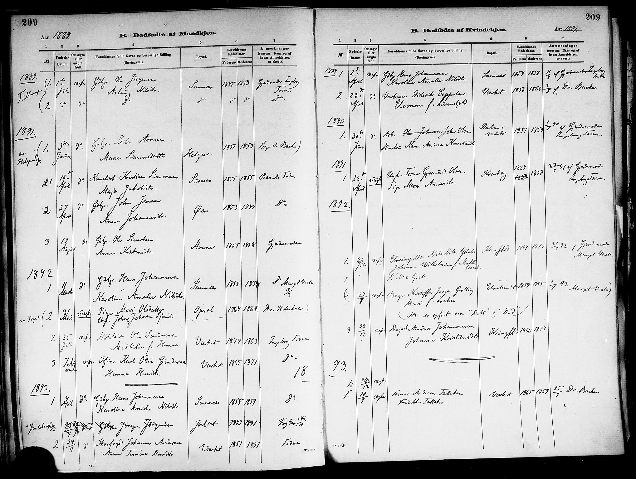Holla kirkebøker, SAKO/A-272/F/Fa/L0008: Parish register (official) no. 8, 1882-1897, p. 209