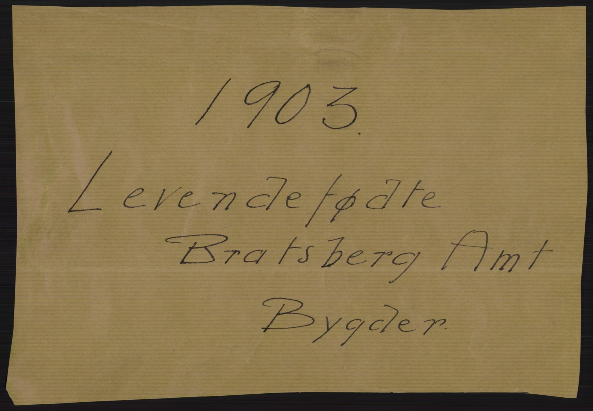 Statistisk sentralbyrå, Sosiodemografiske emner, Befolkning, RA/S-2228/D/Df/Dfa/Dfaa/L0009: Bratsberg amt: Fødte, gifte, døde, 1903, p. 1