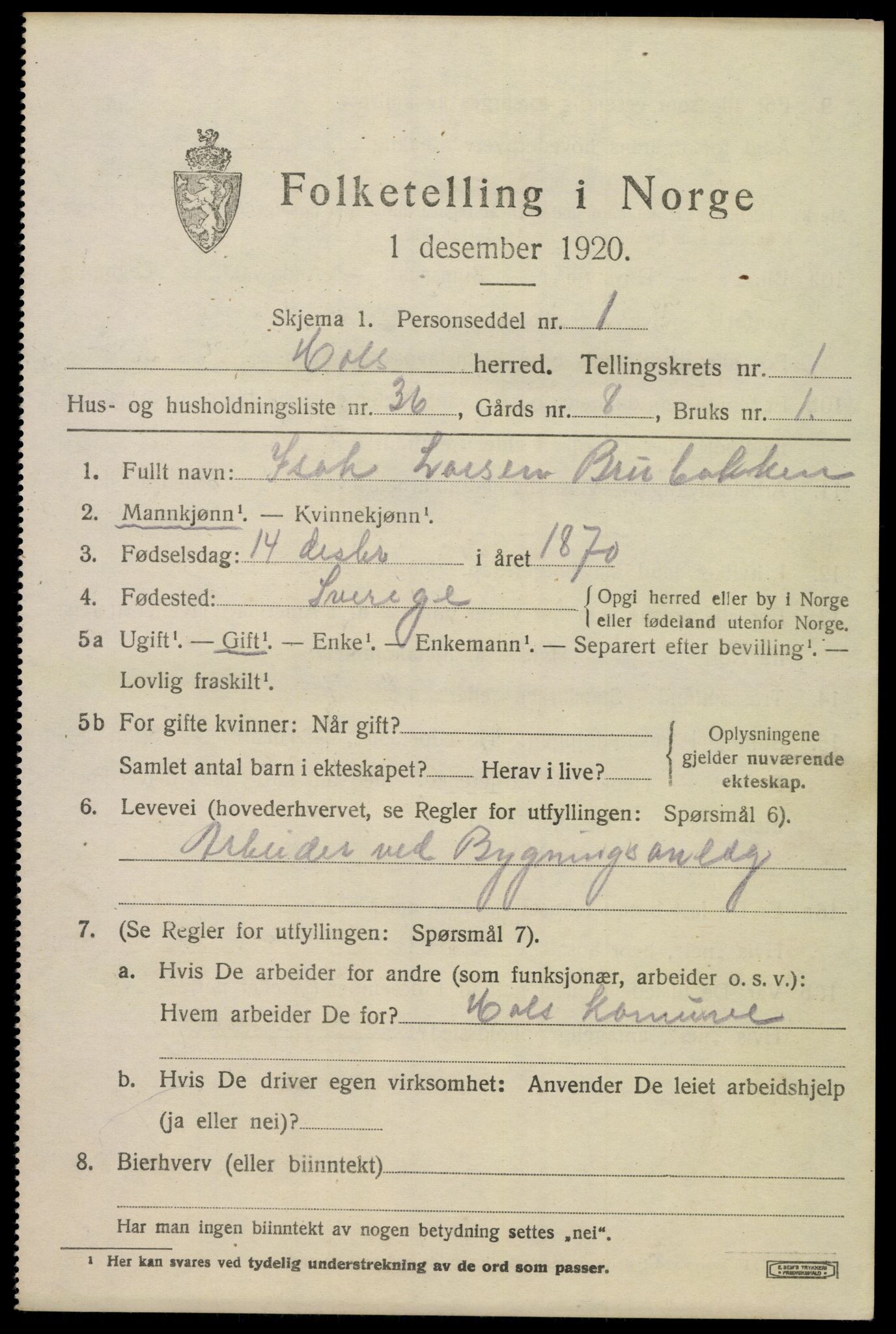 SAKO, 1920 census for Hol (Buskerud), 1920, p. 1193