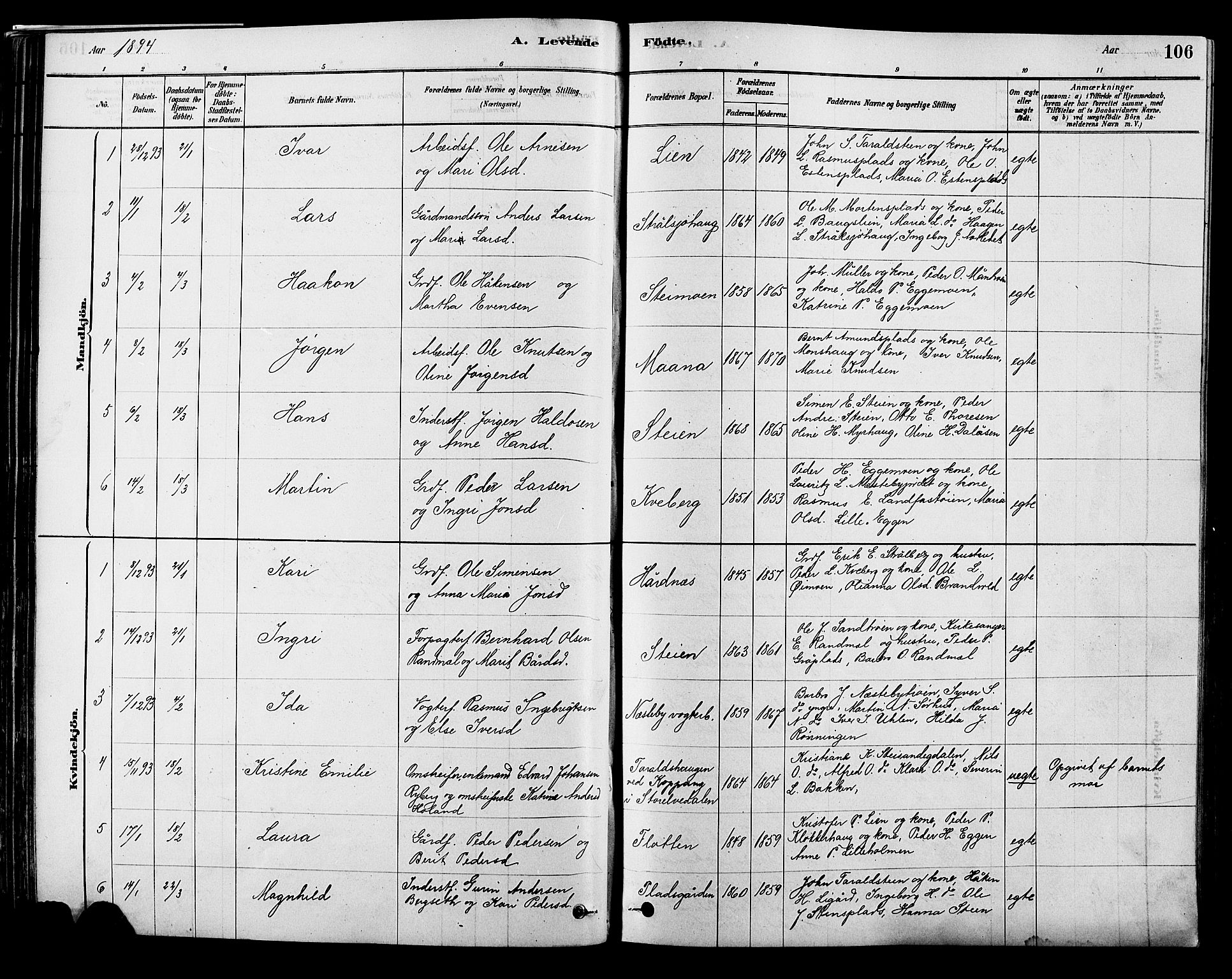 Alvdal prestekontor, SAH/PREST-060/H/Ha/Hab/L0003: Parish register (copy) no. 3, 1878-1907, p. 106