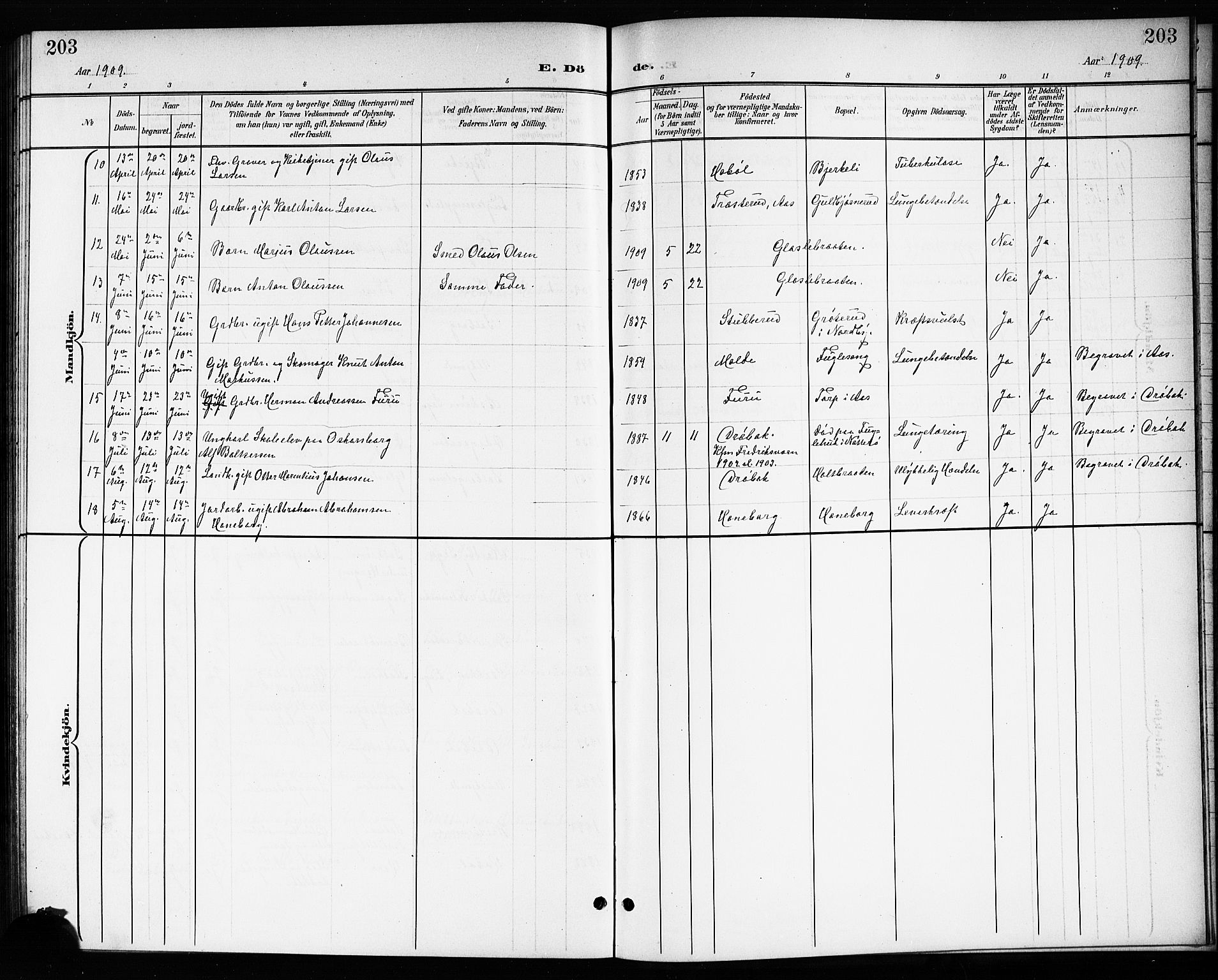 Drøbak prestekontor Kirkebøker, AV/SAO-A-10142a/G/Gb/L0001: Parish register (copy) no. II 1, 1901-1919, p. 203