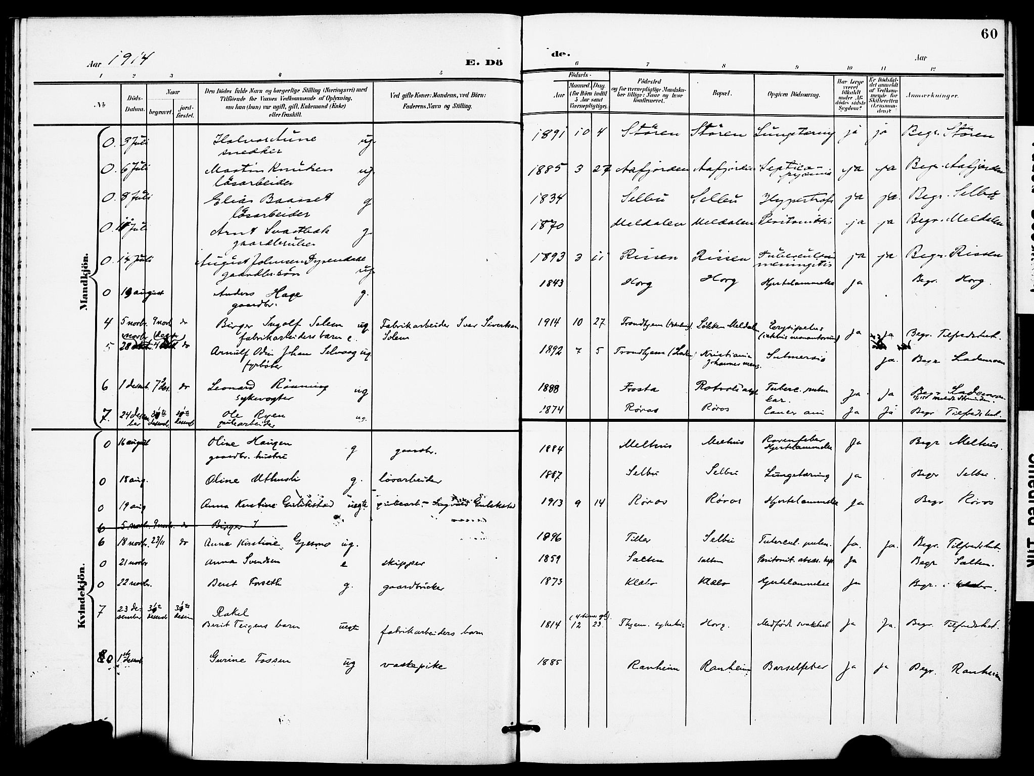 Ministerialprotokoller, klokkerbøker og fødselsregistre - Sør-Trøndelag, SAT/A-1456/628/L0483: Parish register (official) no. 628A01, 1902-1920, p. 60