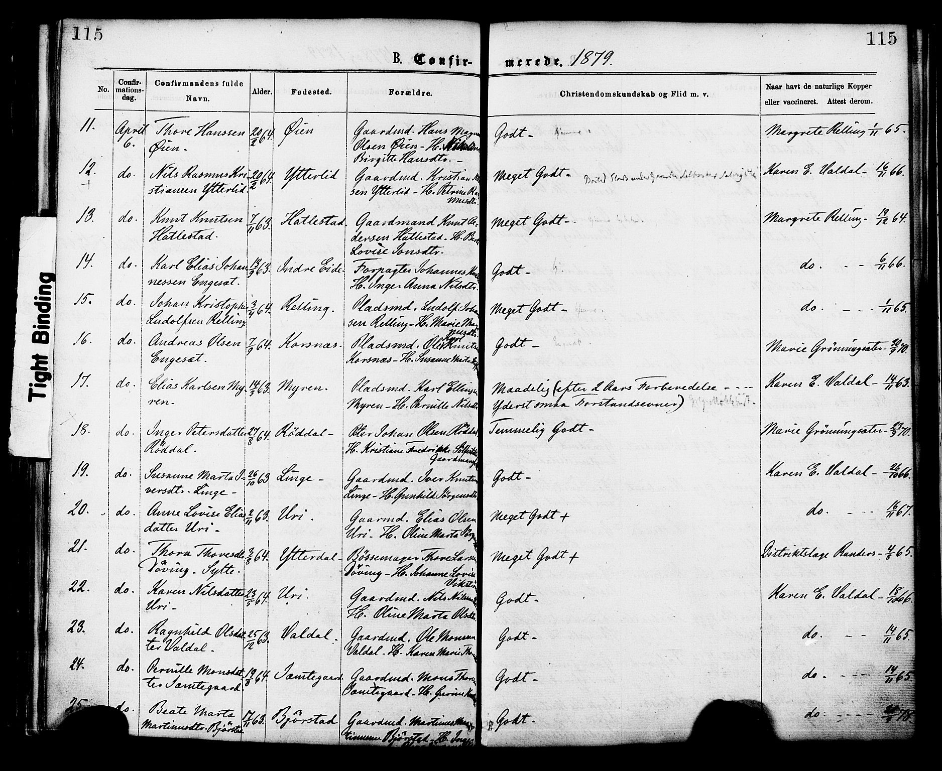 Ministerialprotokoller, klokkerbøker og fødselsregistre - Møre og Romsdal, SAT/A-1454/519/L0254: Parish register (official) no. 519A13, 1868-1883, p. 115