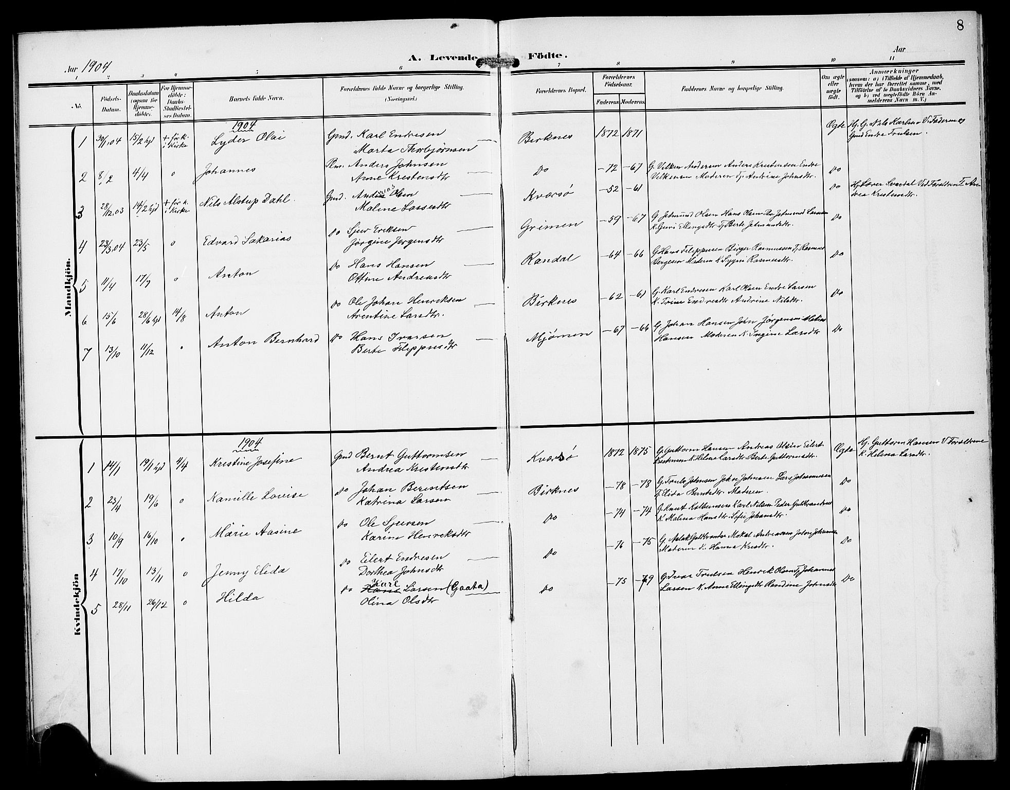 Gulen sokneprestembete, AV/SAB-A-80201/H/Hab/Habd/L0001: Parish register (copy) no. D 1, 1901-1924, p. 8