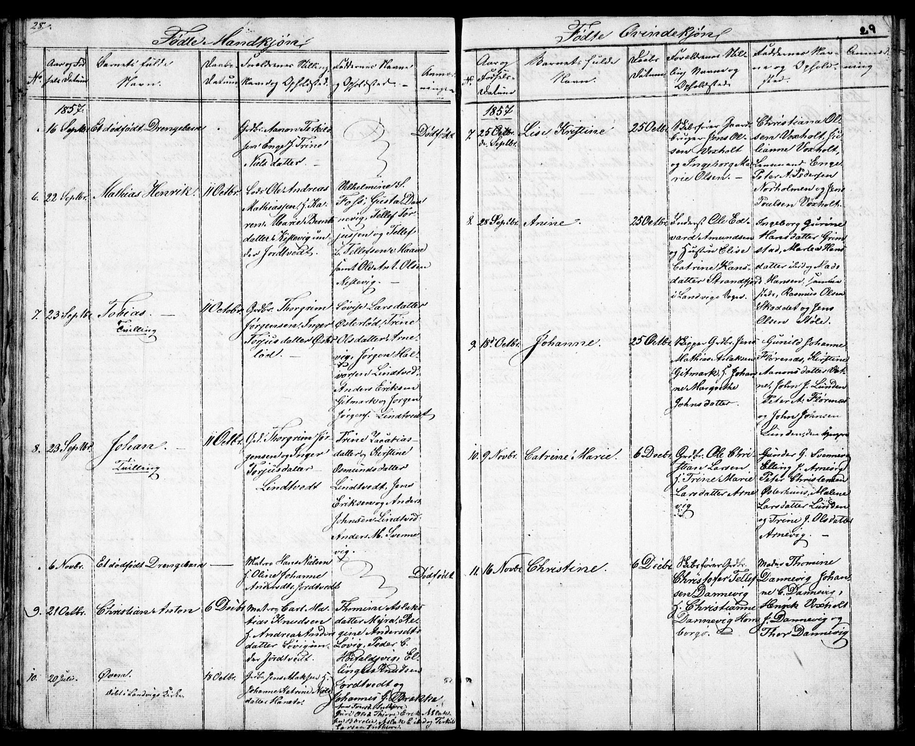 Hommedal sokneprestkontor, SAK/1111-0023/F/Fb/Fba/L0002: Parish register (copy) no. B 2, 1841-1863, p. 29