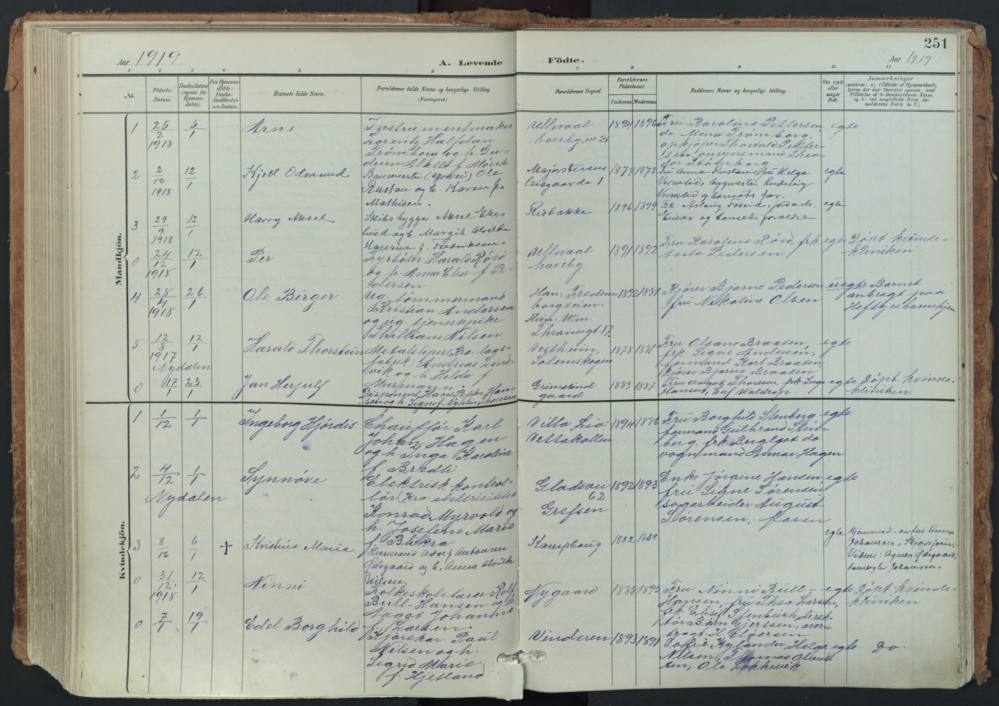 Vestre Aker prestekontor Kirkebøker, AV/SAO-A-10025/F/Fa/L0014: Parish register (official) no. 14, 1903-1921, p. 251