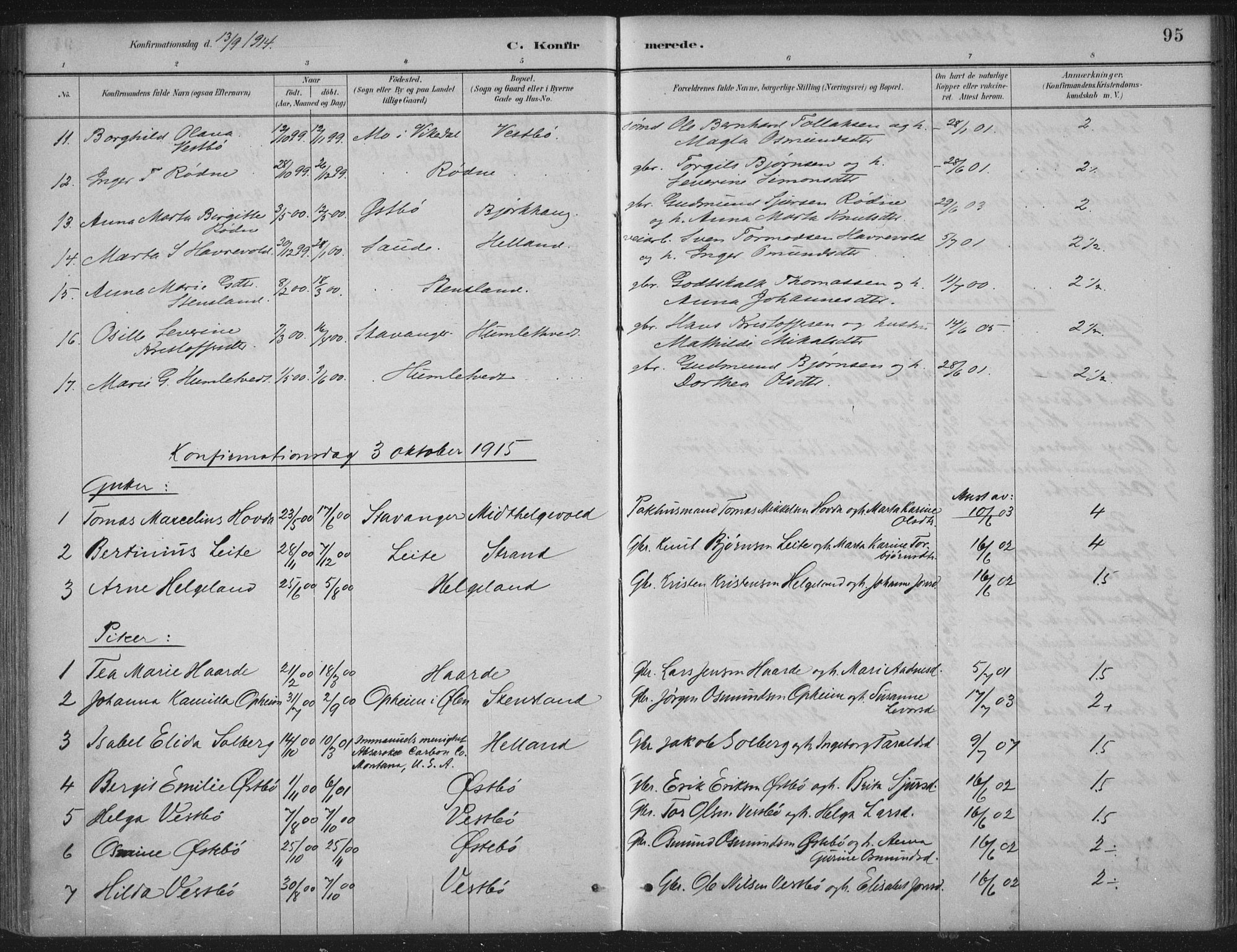 Vikedal sokneprestkontor, AV/SAST-A-101840/01/IV: Parish register (official) no. A 11, 1884-1933, p. 95