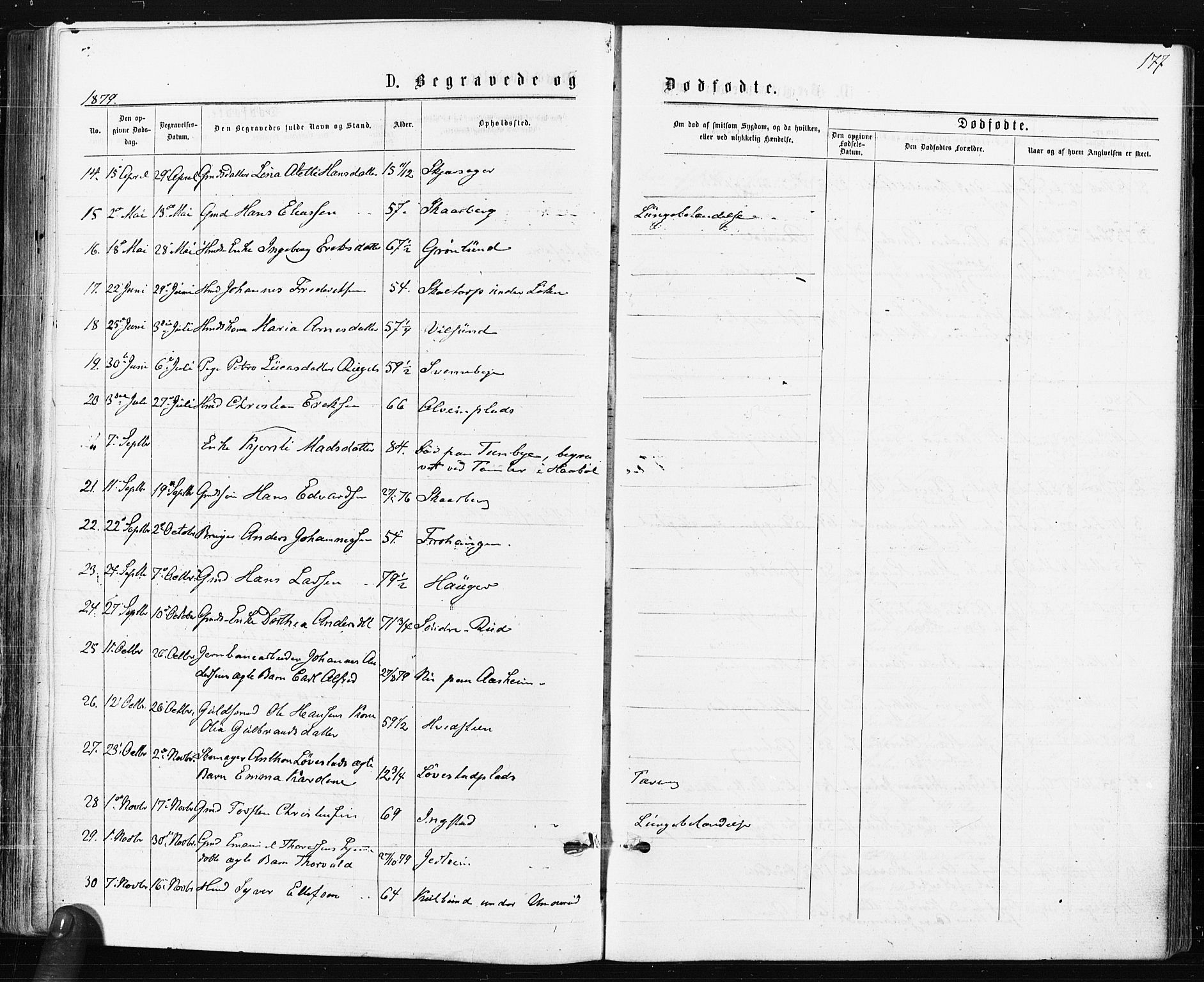 Spydeberg prestekontor Kirkebøker, AV/SAO-A-10924/F/Fa/L0007: Parish register (official) no. I 7, 1875-1885, p. 177