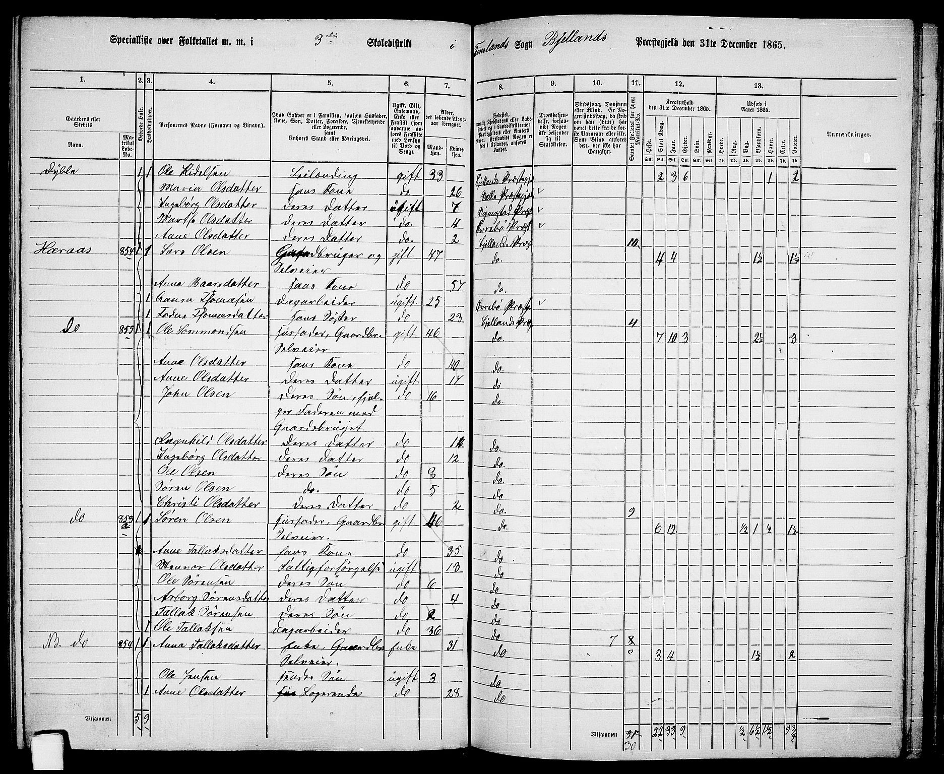 RA, 1865 census for Bjelland, 1865, p. 37
