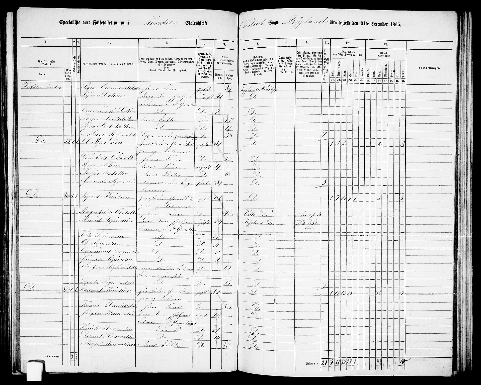 RA, 1865 census for Bygland, 1865, p. 22