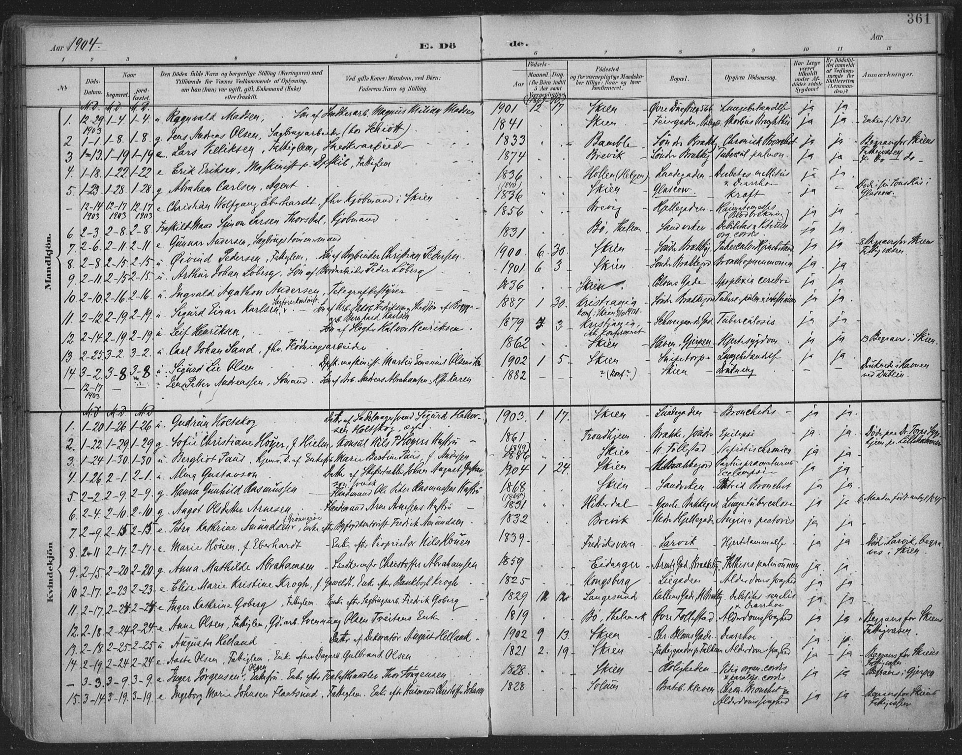 Skien kirkebøker, AV/SAKO-A-302/F/Fa/L0011: Parish register (official) no. 11, 1900-1907, p. 361