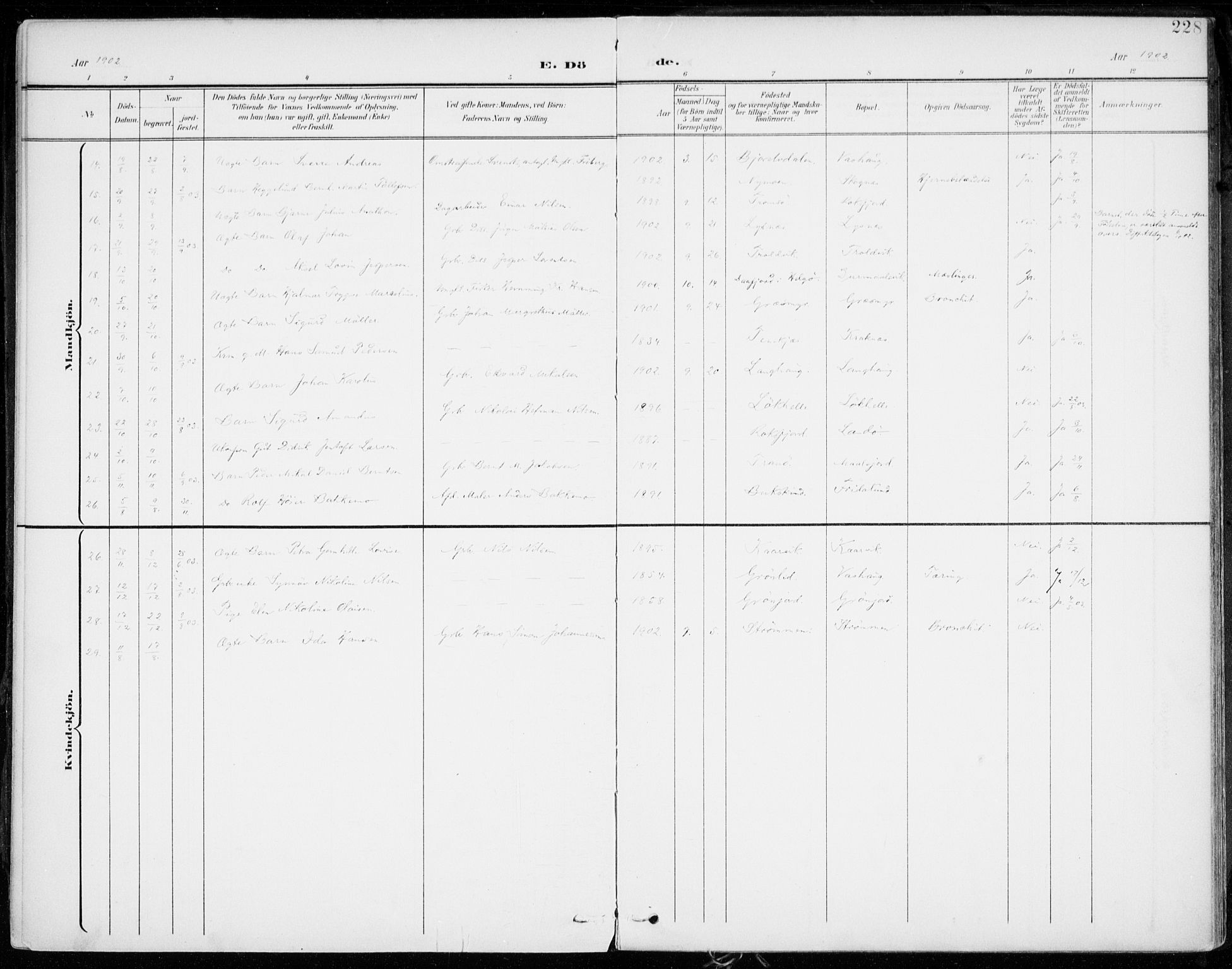 Lenvik sokneprestembete, AV/SATØ-S-1310/H/Ha/Haa/L0014kirke: Parish register (official) no. 14, 1899-1909, p. 228