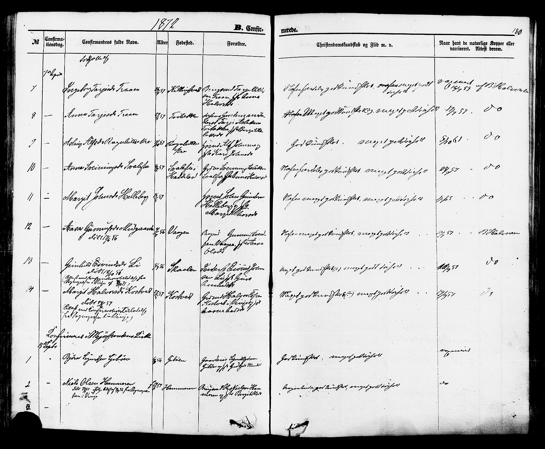 Rauland kirkebøker, SAKO/A-292/F/Fa/L0003: Parish register (official) no. 3, 1859-1886, p. 180