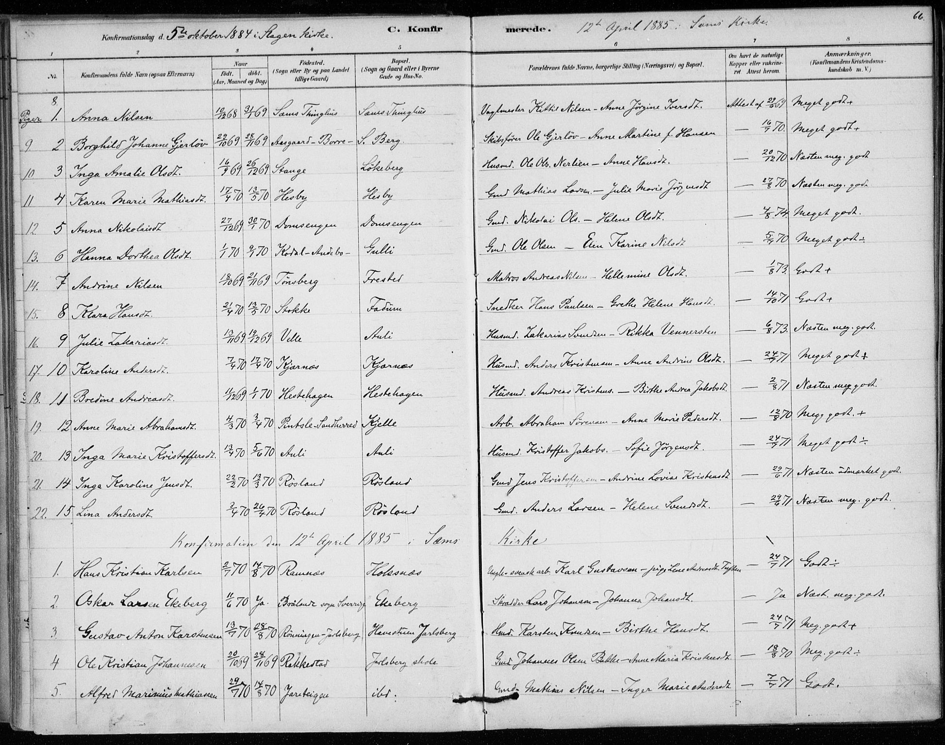 Sem kirkebøker, SAKO/A-5/F/Fa/L0010: Parish register (official) no. I 10, 1878-1887, p. 66