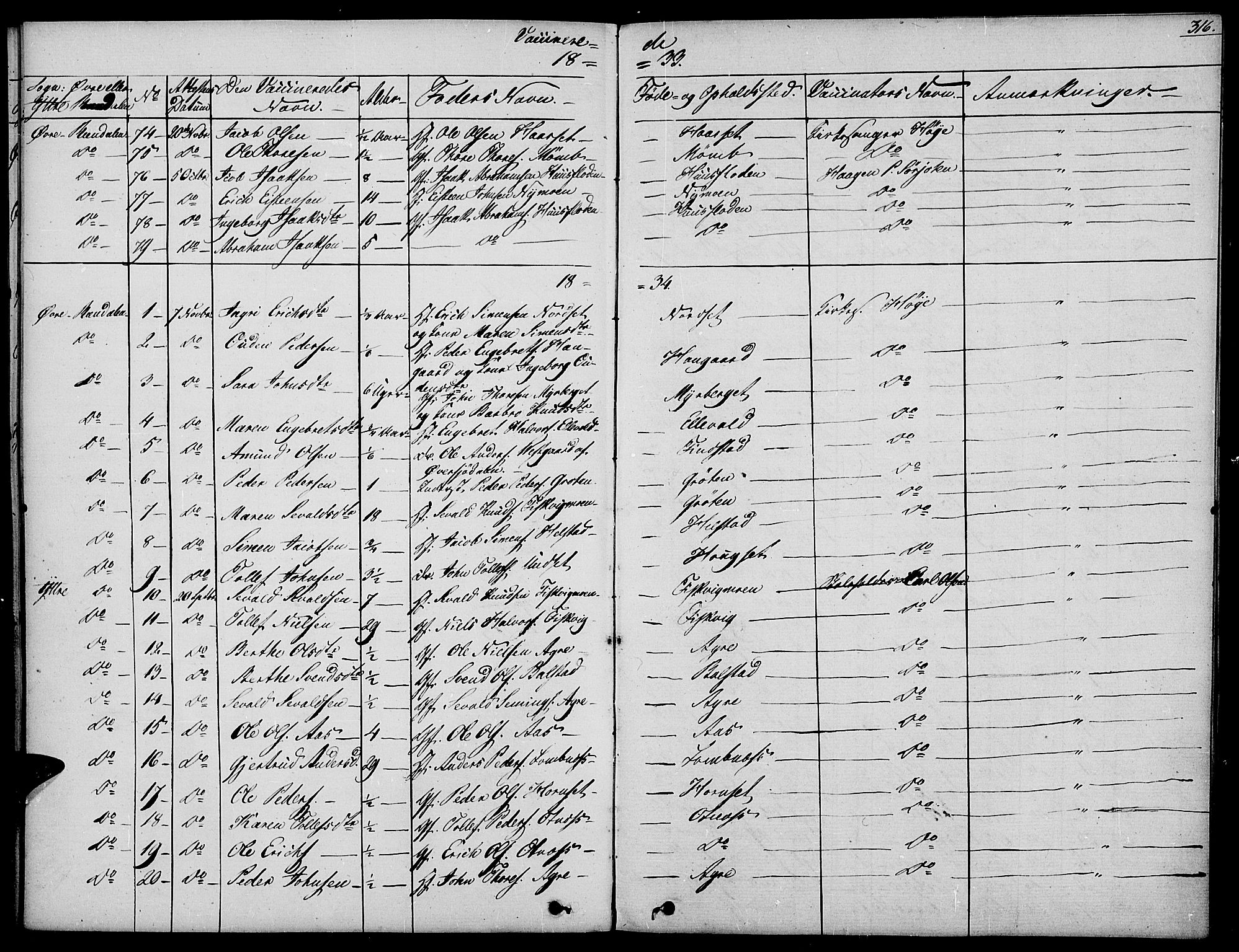 Rendalen prestekontor, SAH/PREST-054/H/Ha/Haa/L0004: Parish register (official) no. 4, 1829-1852, p. 316