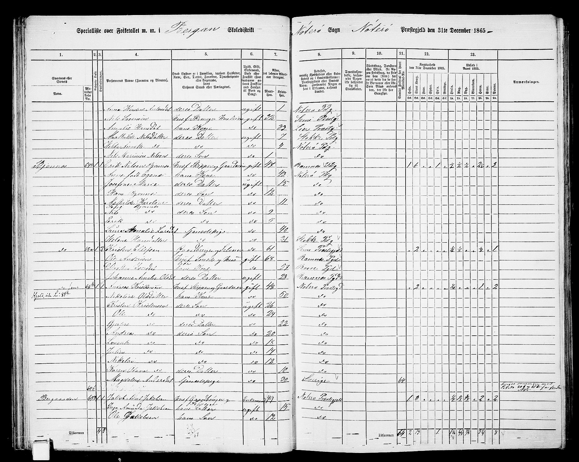 RA, 1865 census for Nøtterøy, 1865, p. 58