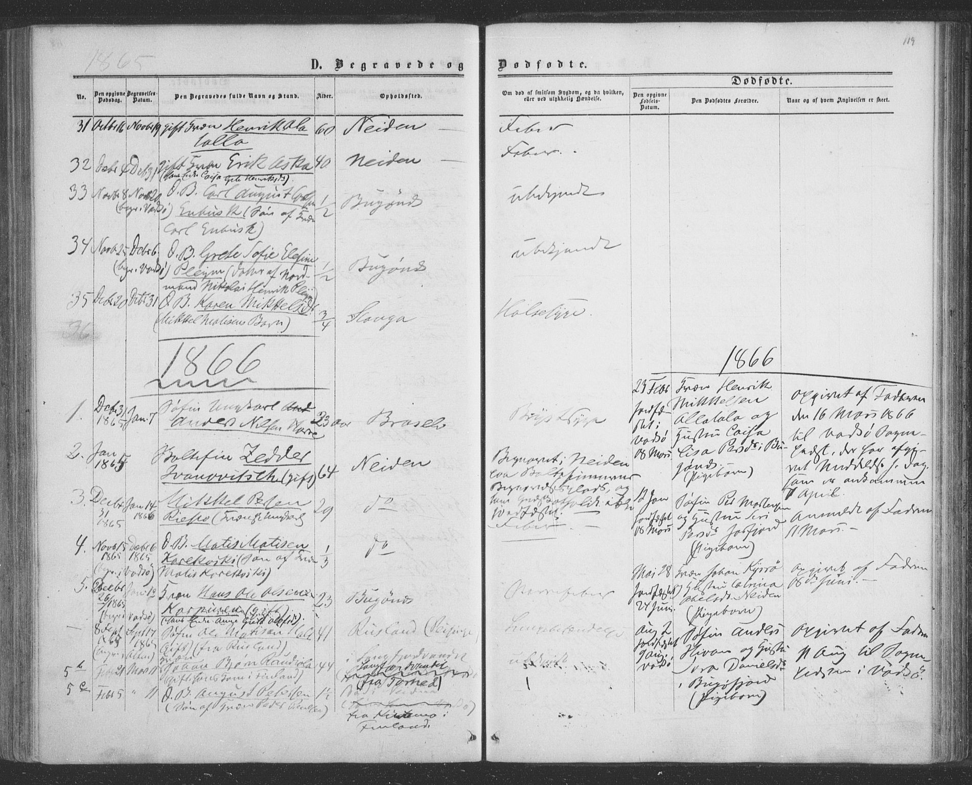 Sør-Varanger sokneprestkontor, SATØ/S-1331/H/Ha/L0001kirke: Parish register (official) no. 1, 1863-1872, p. 119