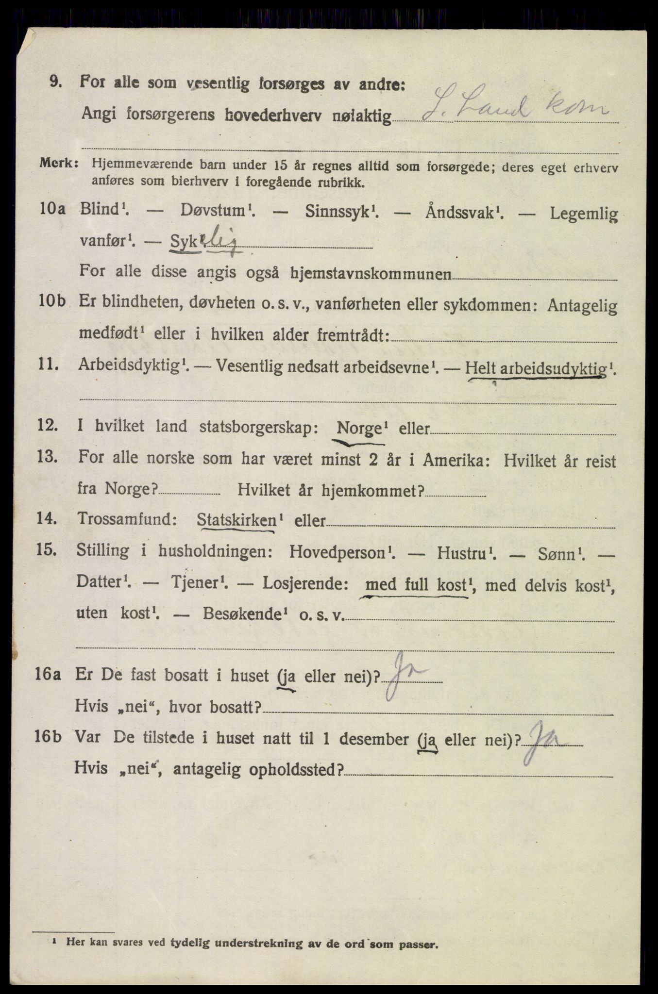 SAH, 1920 census for Søndre Land, 1920, p. 5000