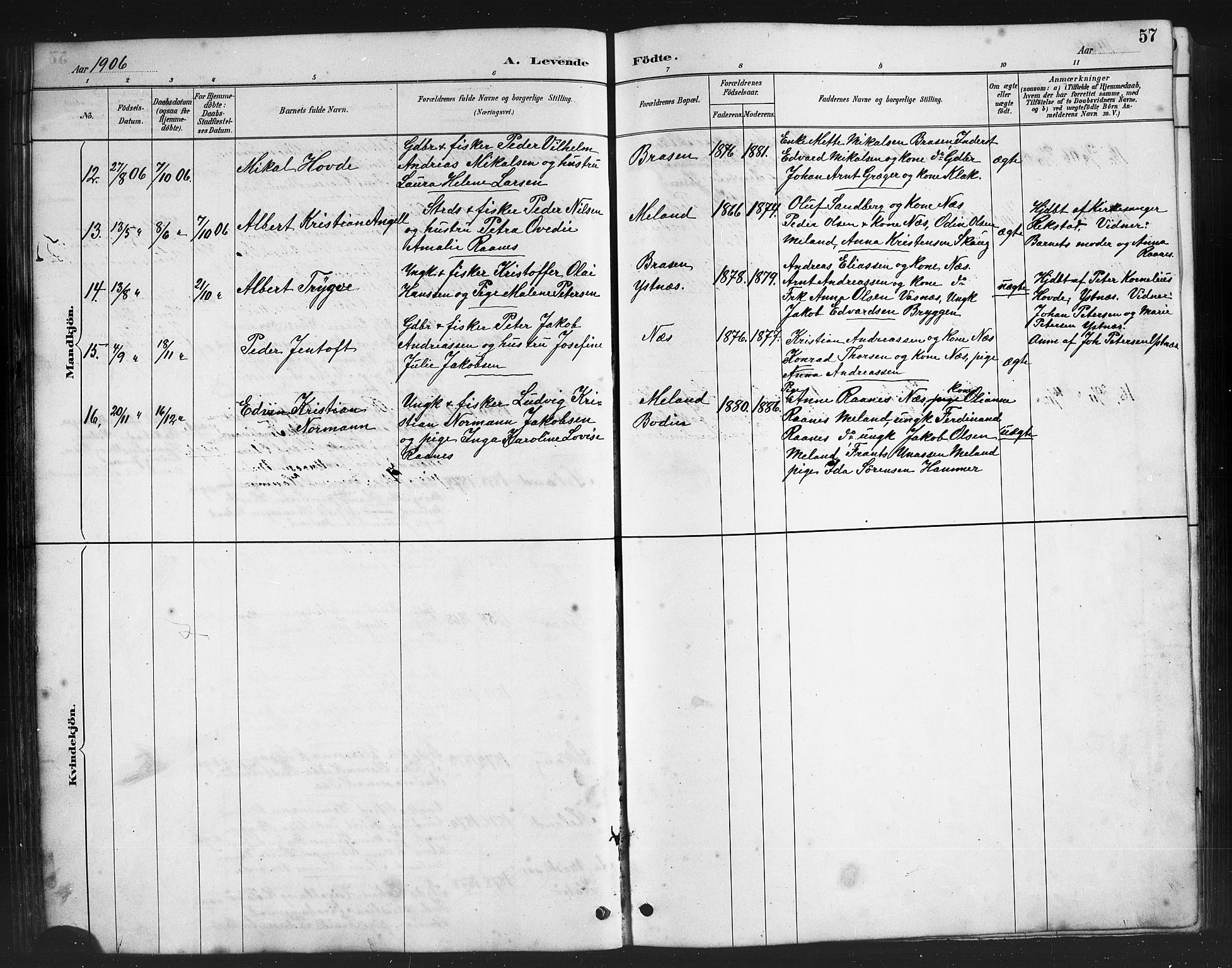 Ministerialprotokoller, klokkerbøker og fødselsregistre - Nordland, AV/SAT-A-1459/808/L0131: Parish register (copy) no. 808C02, 1879-1919, p. 57