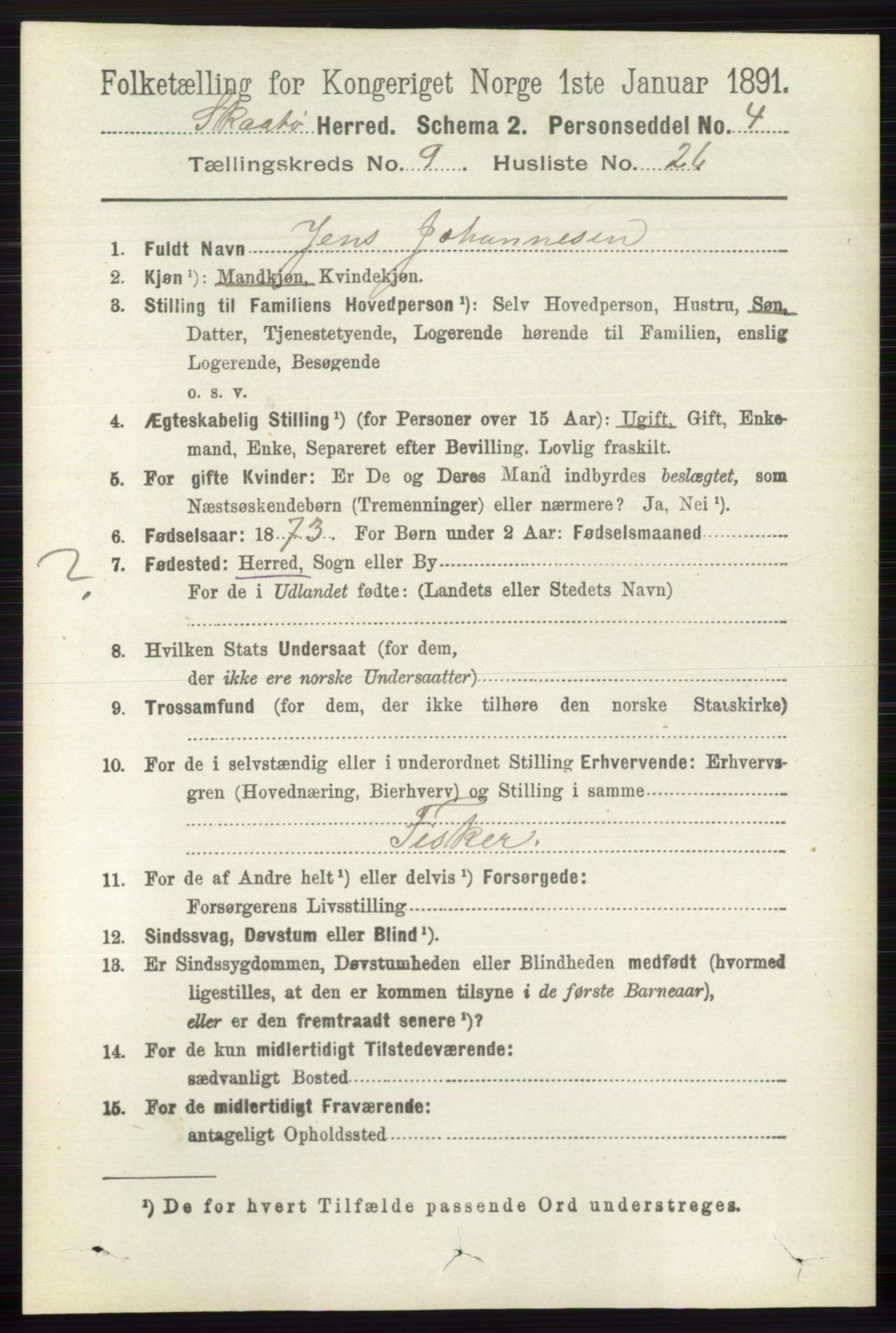 RA, 1891 census for 0815 Skåtøy, 1891, p. 4005