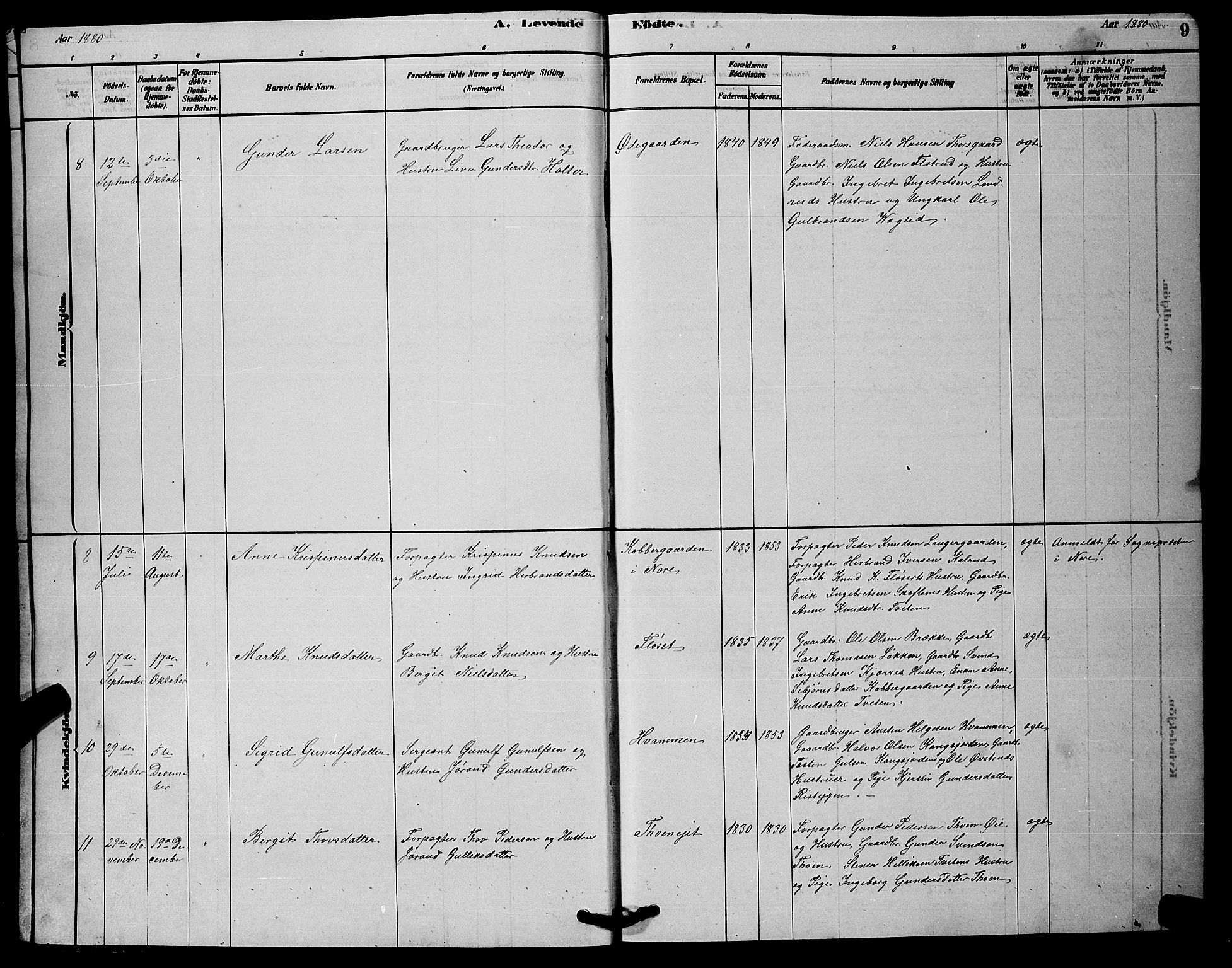 Rollag kirkebøker, AV/SAKO-A-240/G/Gb/L0002: Parish register (copy) no. II 2, 1878-1898, p. 9