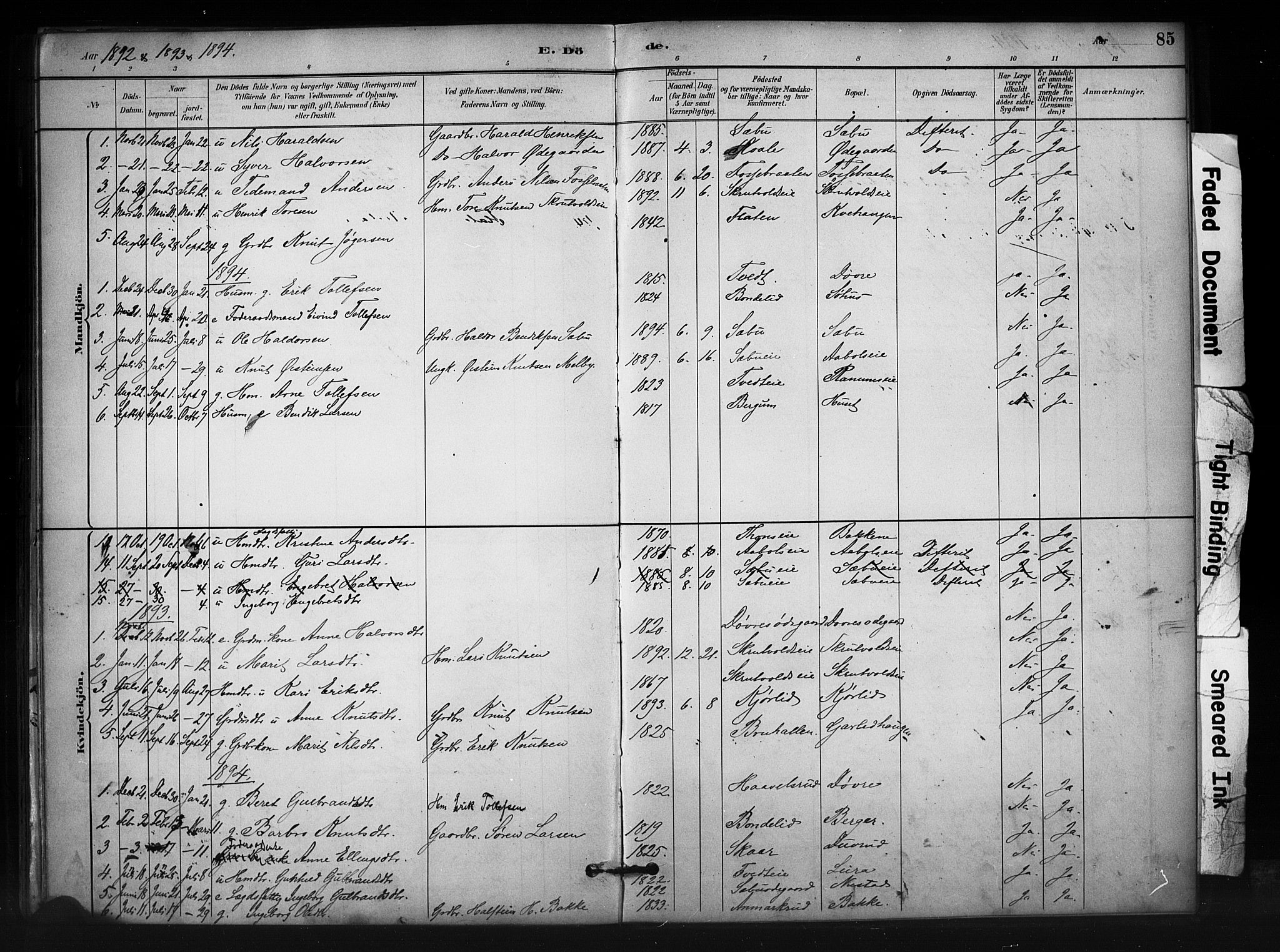 Nord-Aurdal prestekontor, AV/SAH-PREST-132/H/Ha/Haa/L0012: Parish register (official) no. 12, 1883-1895, p. 85