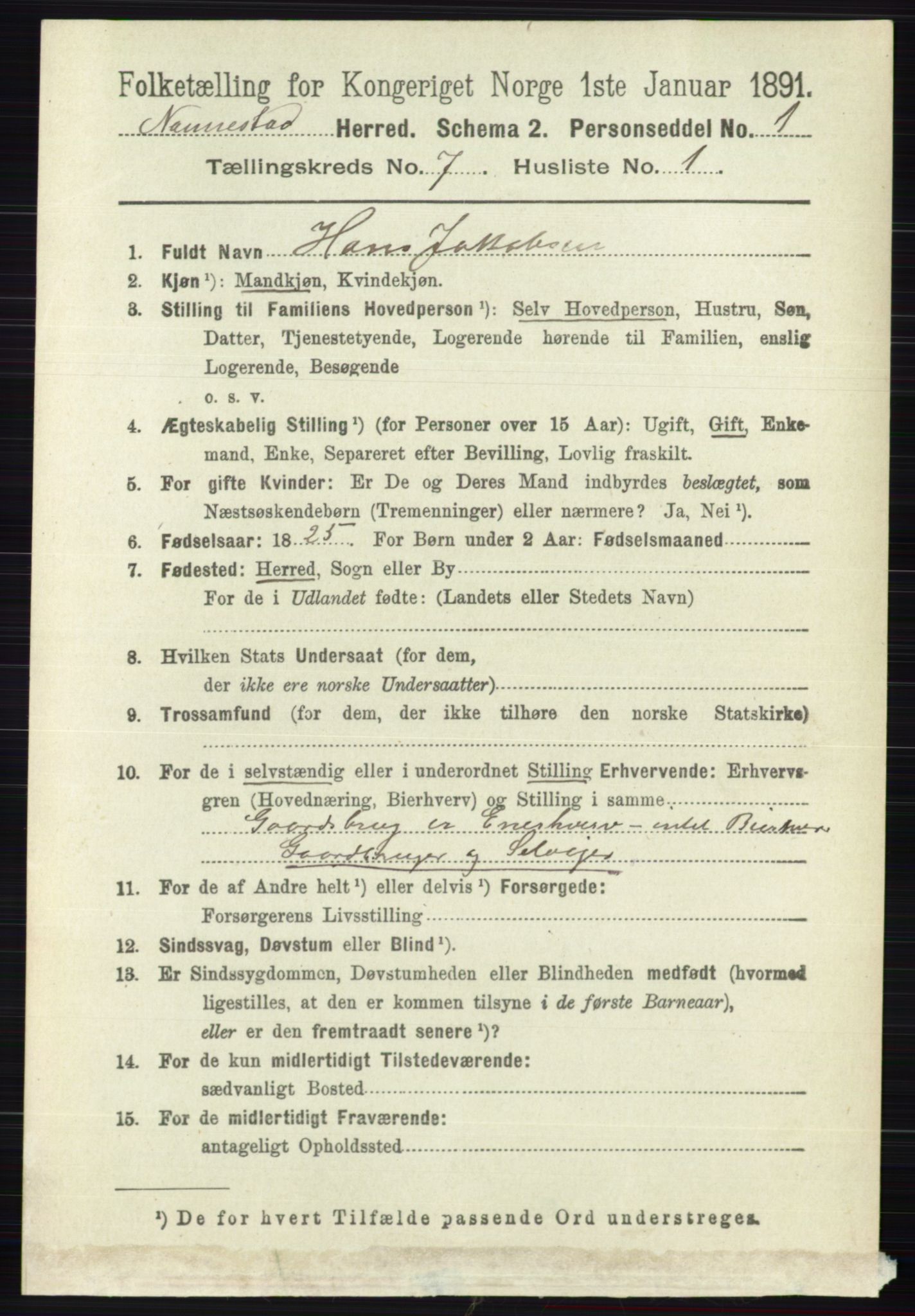 RA, 1891 census for 0238 Nannestad, 1891, p. 3741