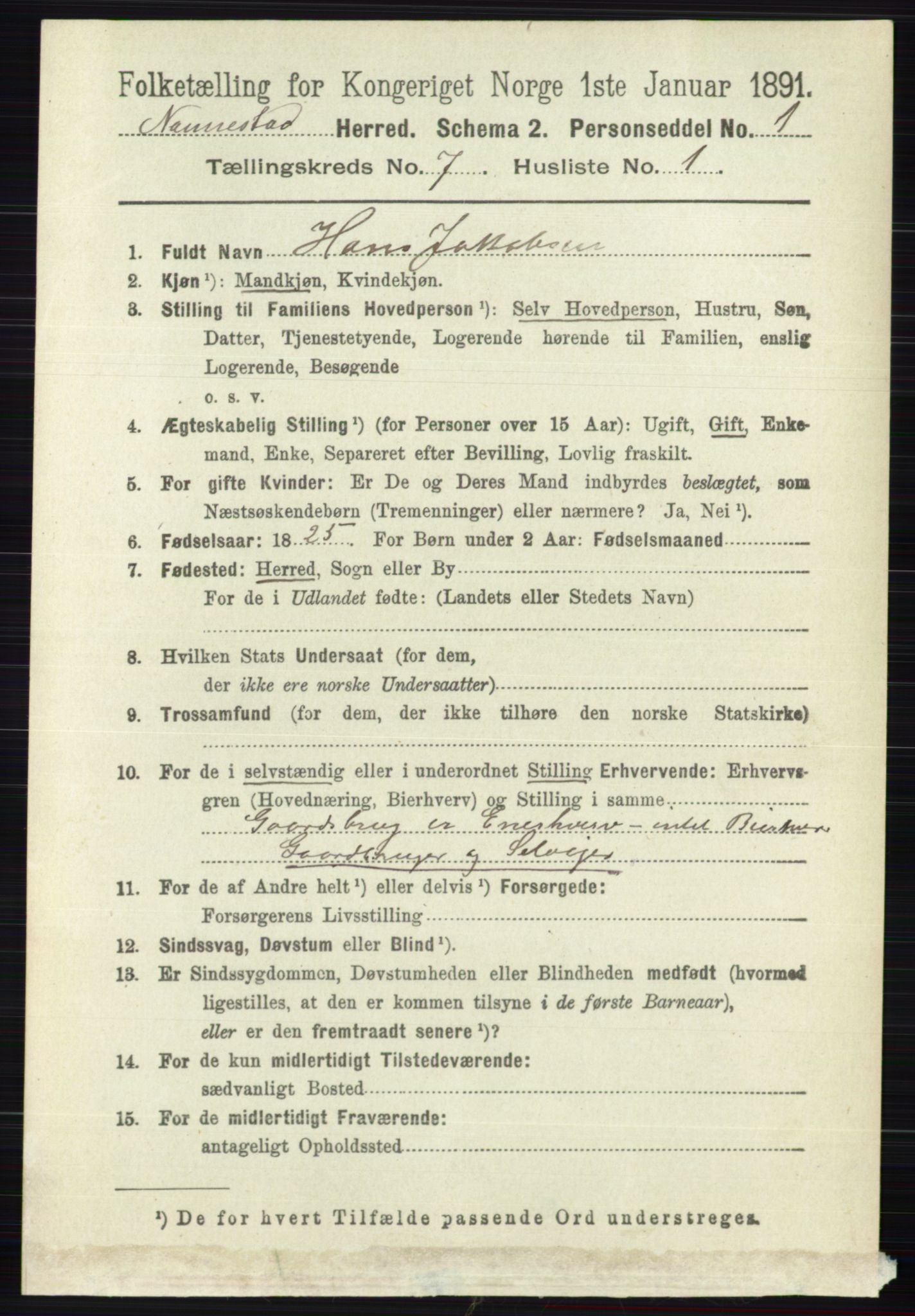 RA, 1891 census for 0238 Nannestad, 1891, p. 3741