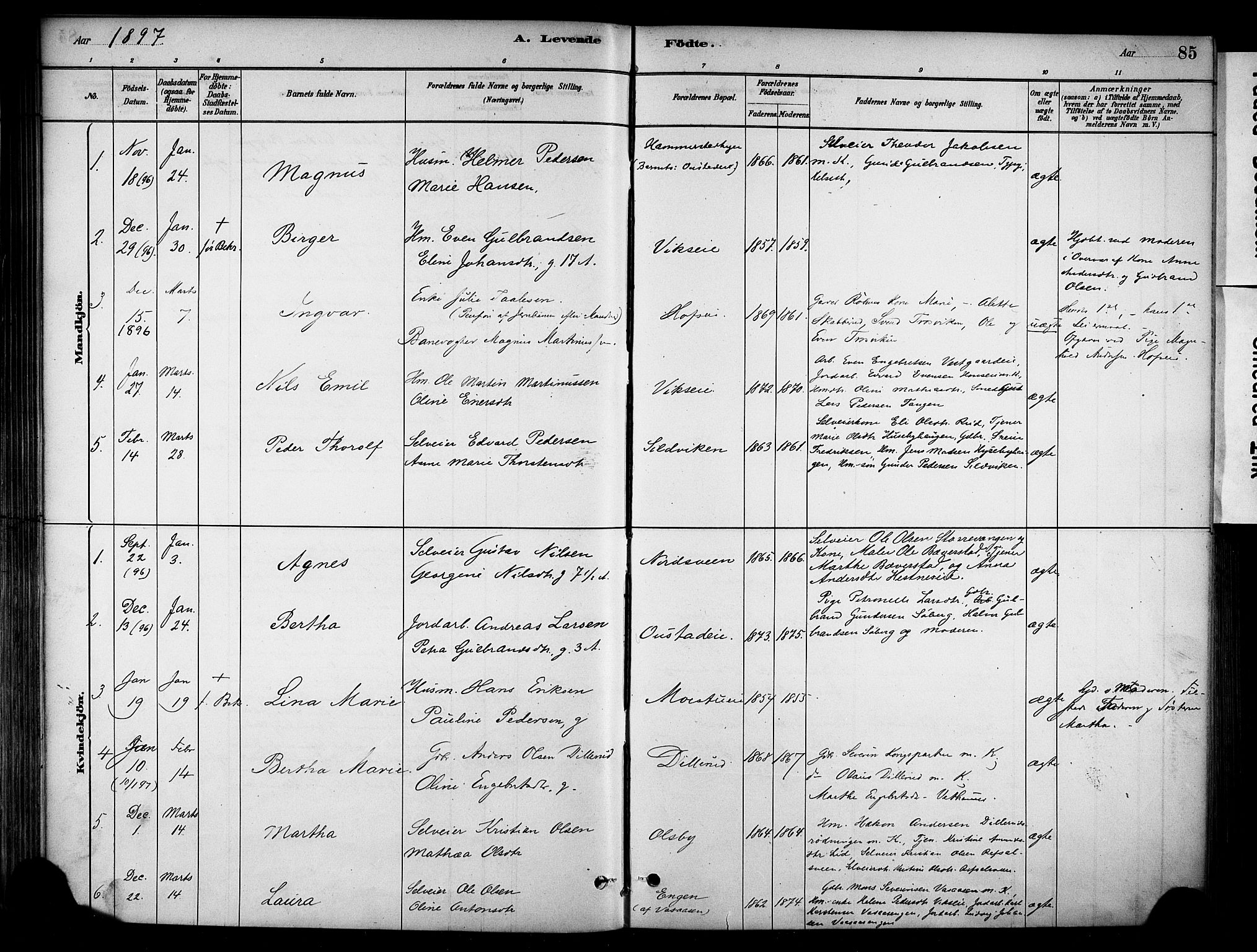 Stange prestekontor, SAH/PREST-002/K/L0018: Parish register (official) no. 18, 1880-1896, p. 85