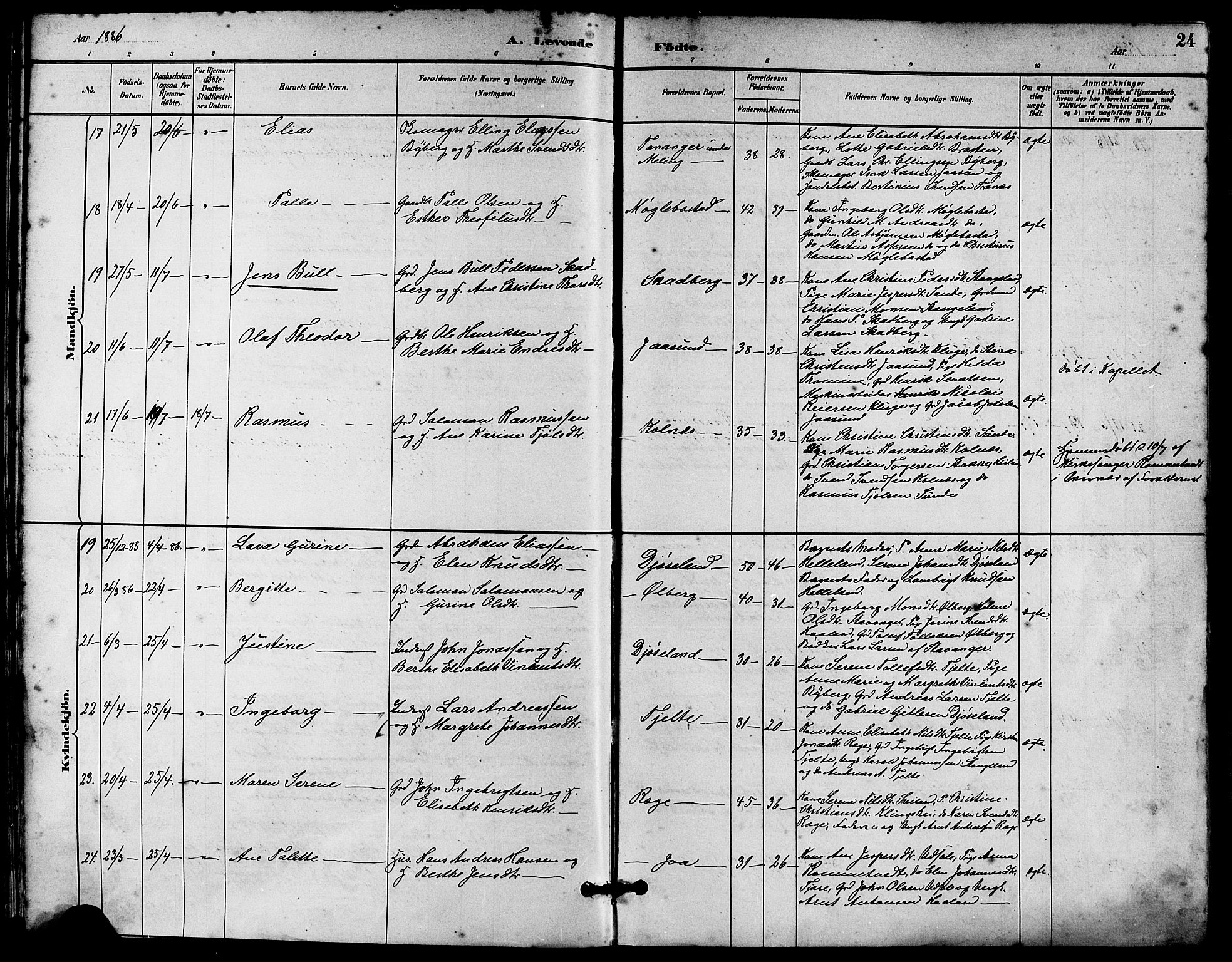 Håland sokneprestkontor, AV/SAST-A-101802/001/30BA/L0010: Parish register (official) no. A 9, 1883-1888, p. 24