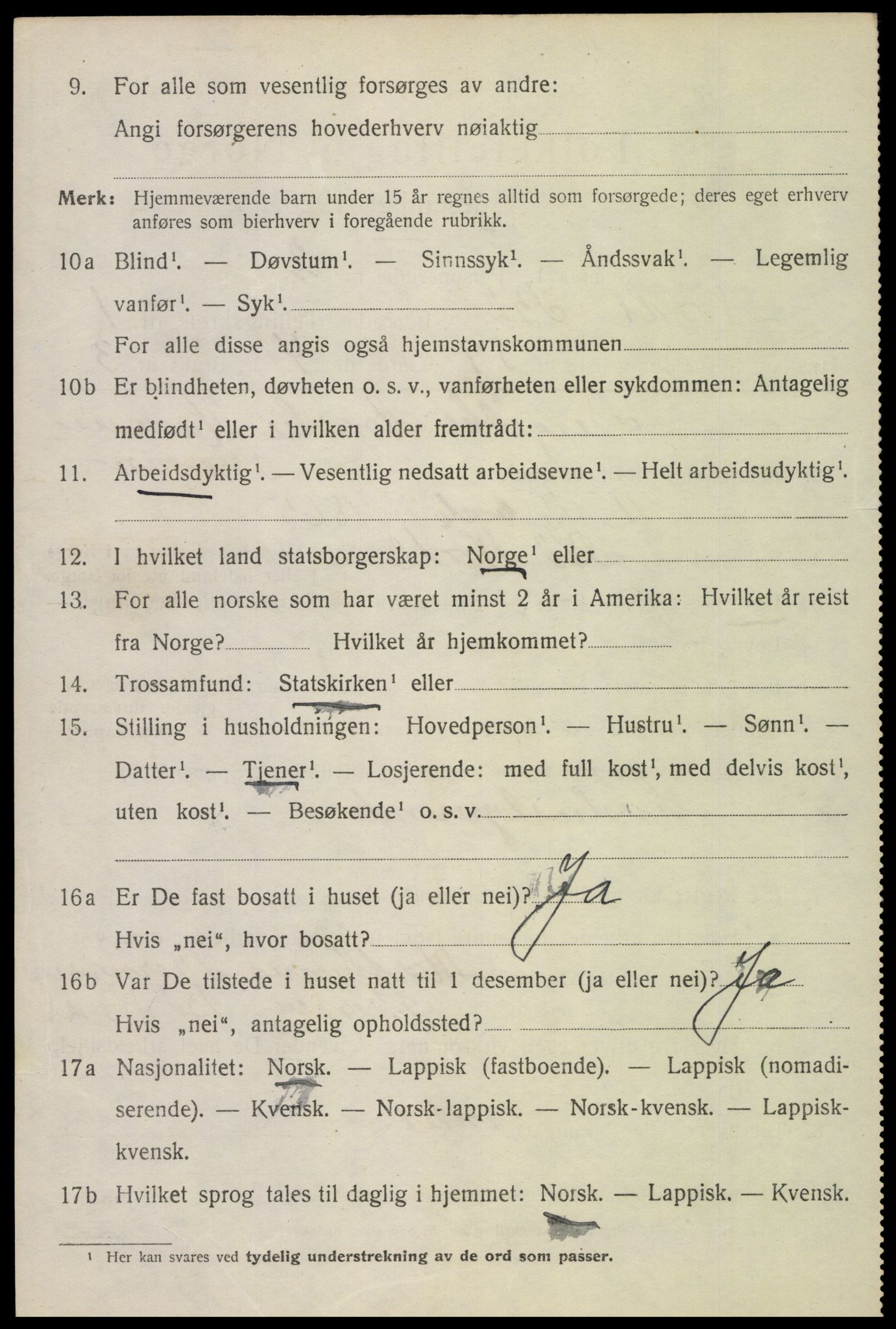 SAT, 1920 census for Bø, 1920, p. 2299