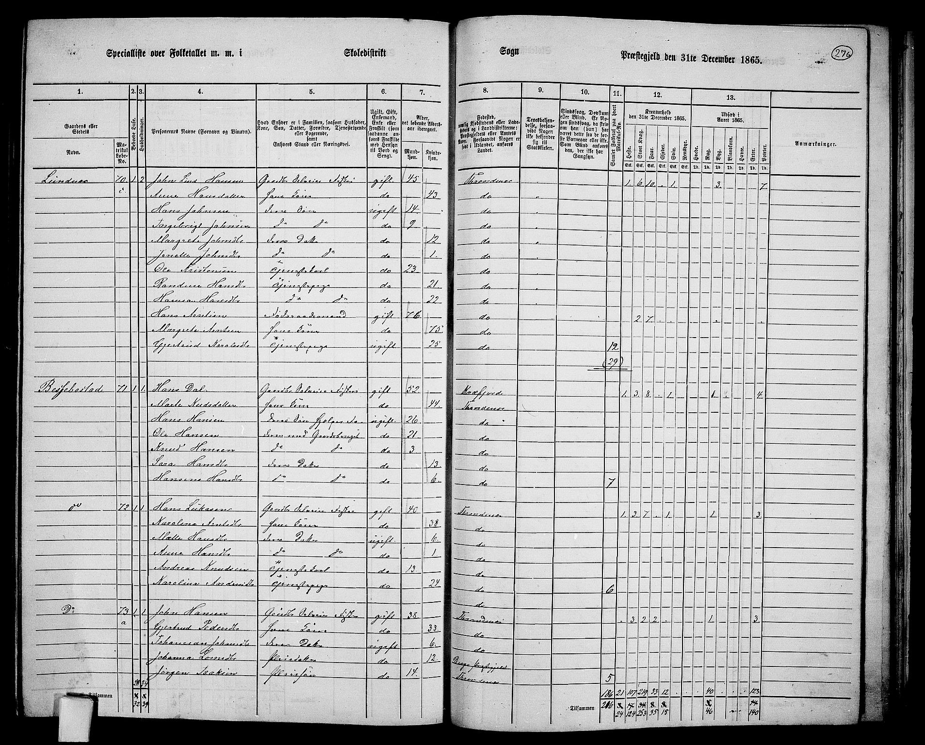 RA, 1865 census for Trondenes, 1865, p. 161