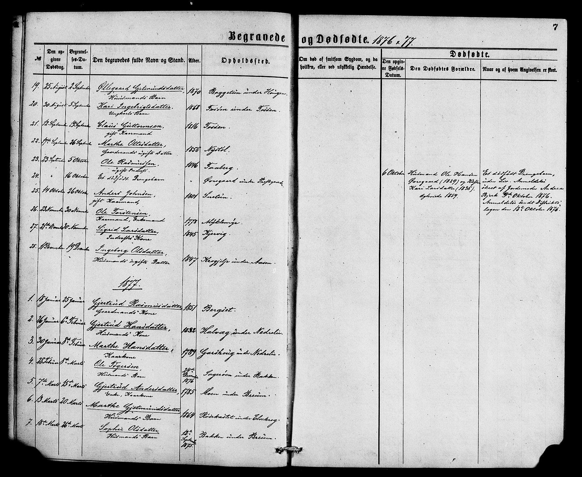 Jostedal sokneprestembete, SAB/A-80601/H/Haa/Haaa/L0009: Parish register (official) no. A 9, 1876-1886, p. 7