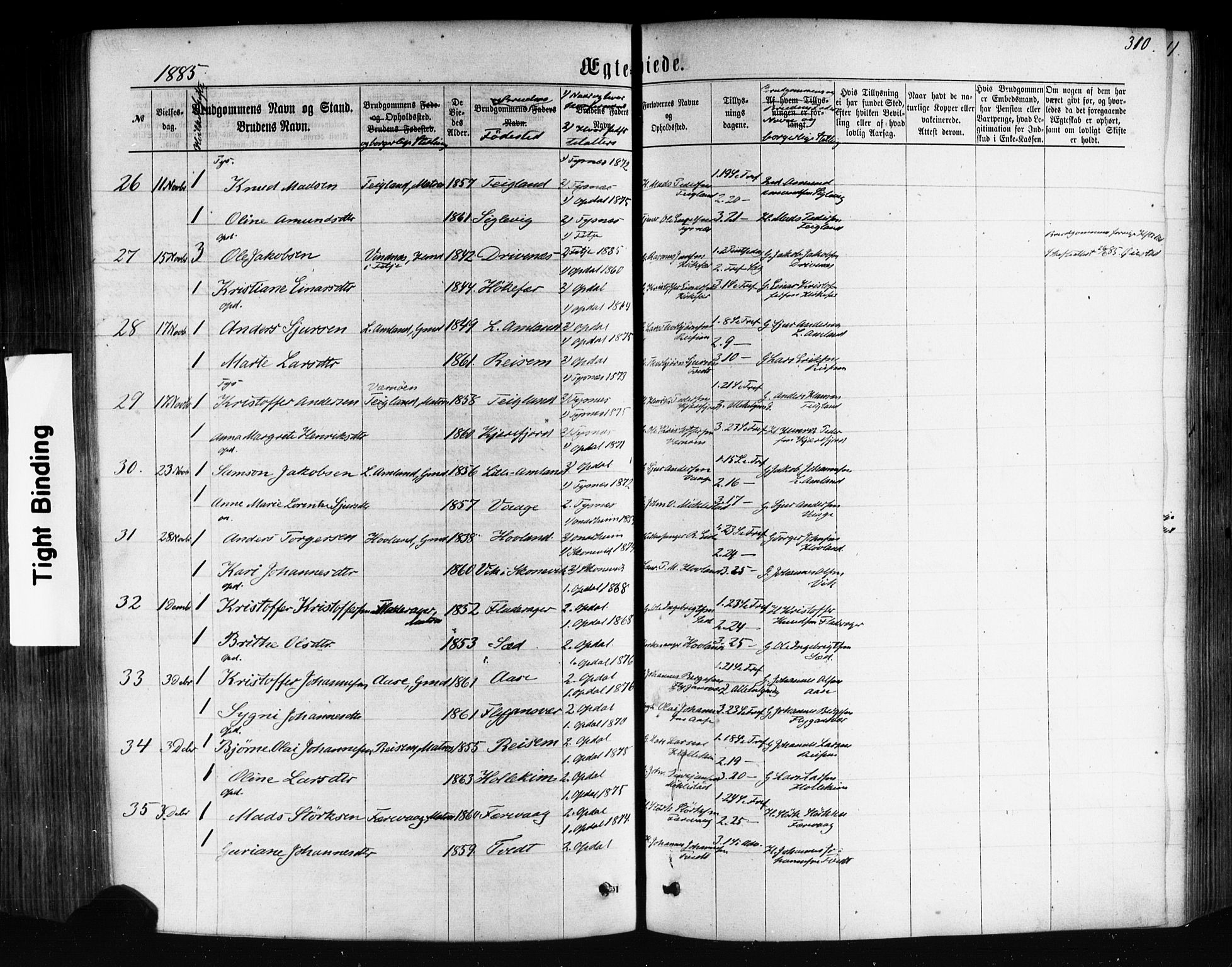 Tysnes sokneprestembete, AV/SAB-A-78601/H/Haa: Parish register (official) no. A 12, 1872-1886, p. 310