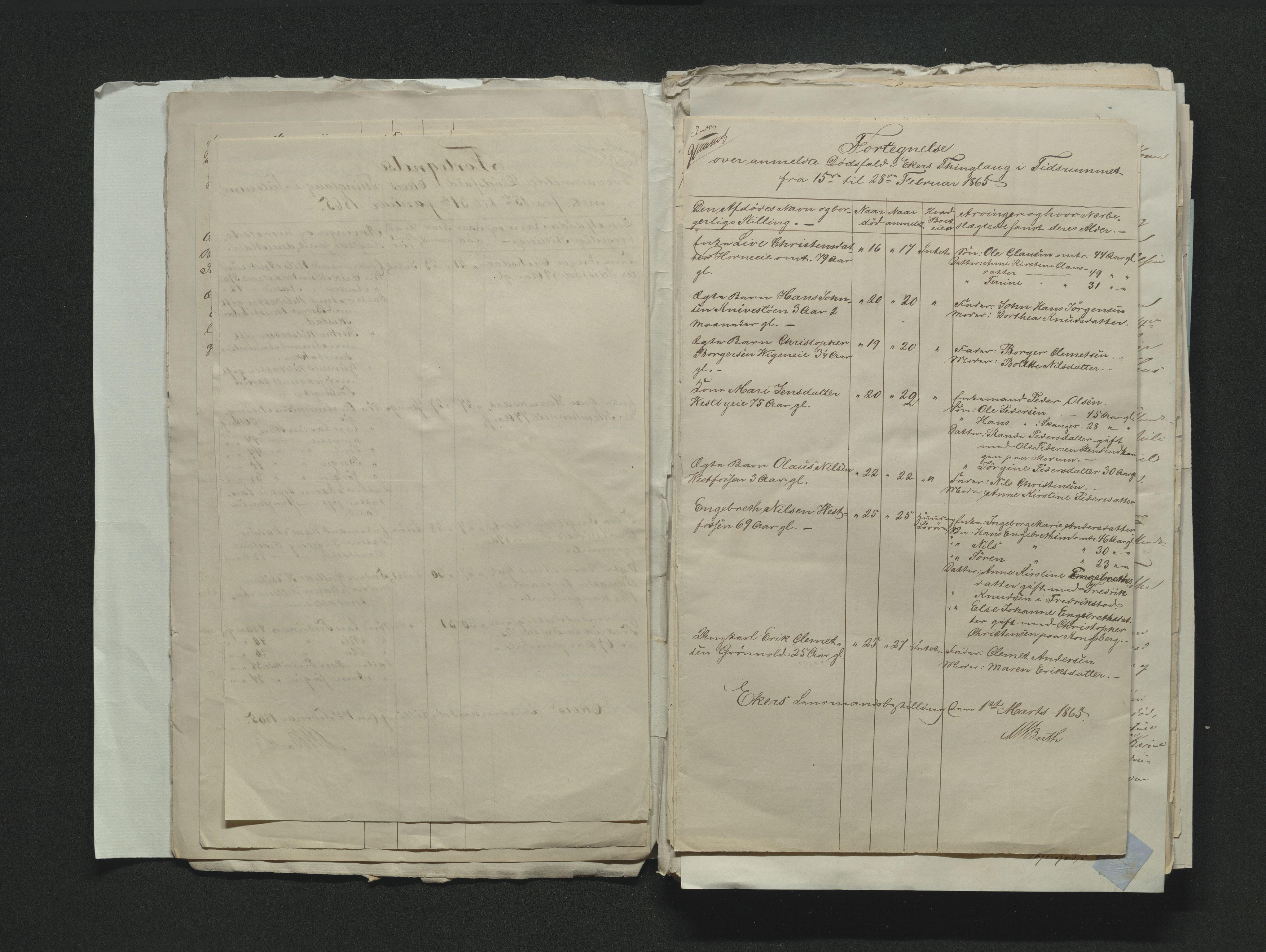 Eiker, Modum og Sigdal sorenskriveri, AV/SAKO-A-123/H/Ha/Hab/L0011: Dødsfallsmeldinger, 1862-1865, p. 529