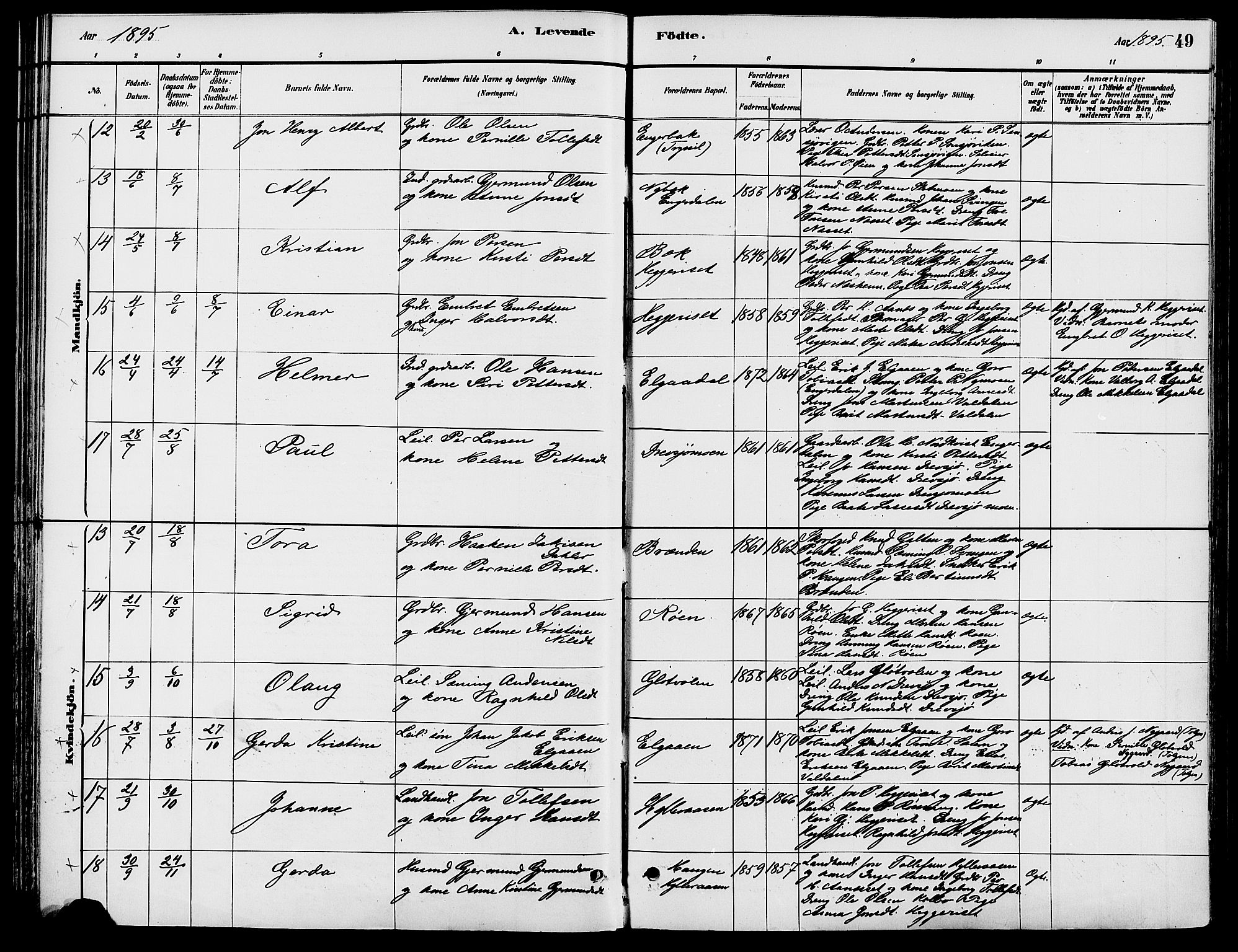 Engerdal prestekontor, AV/SAH-PREST-048/H/Ha/Haa/L0001: Parish register (official) no. 1, 1881-1898, p. 49