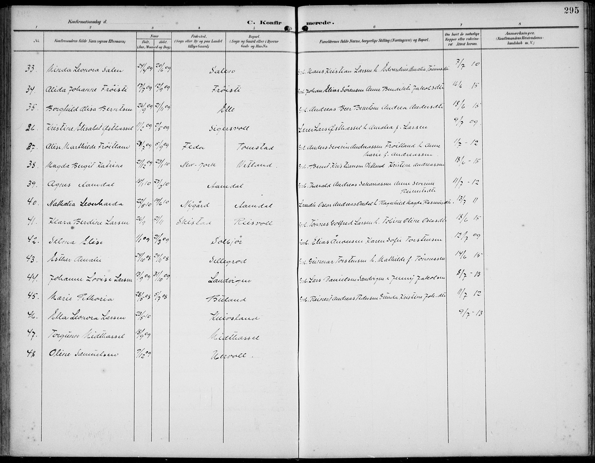 Lista sokneprestkontor, AV/SAK-1111-0027/F/Fb/L0005: Parish register (copy) no. B 5, 1892-1923, p. 295