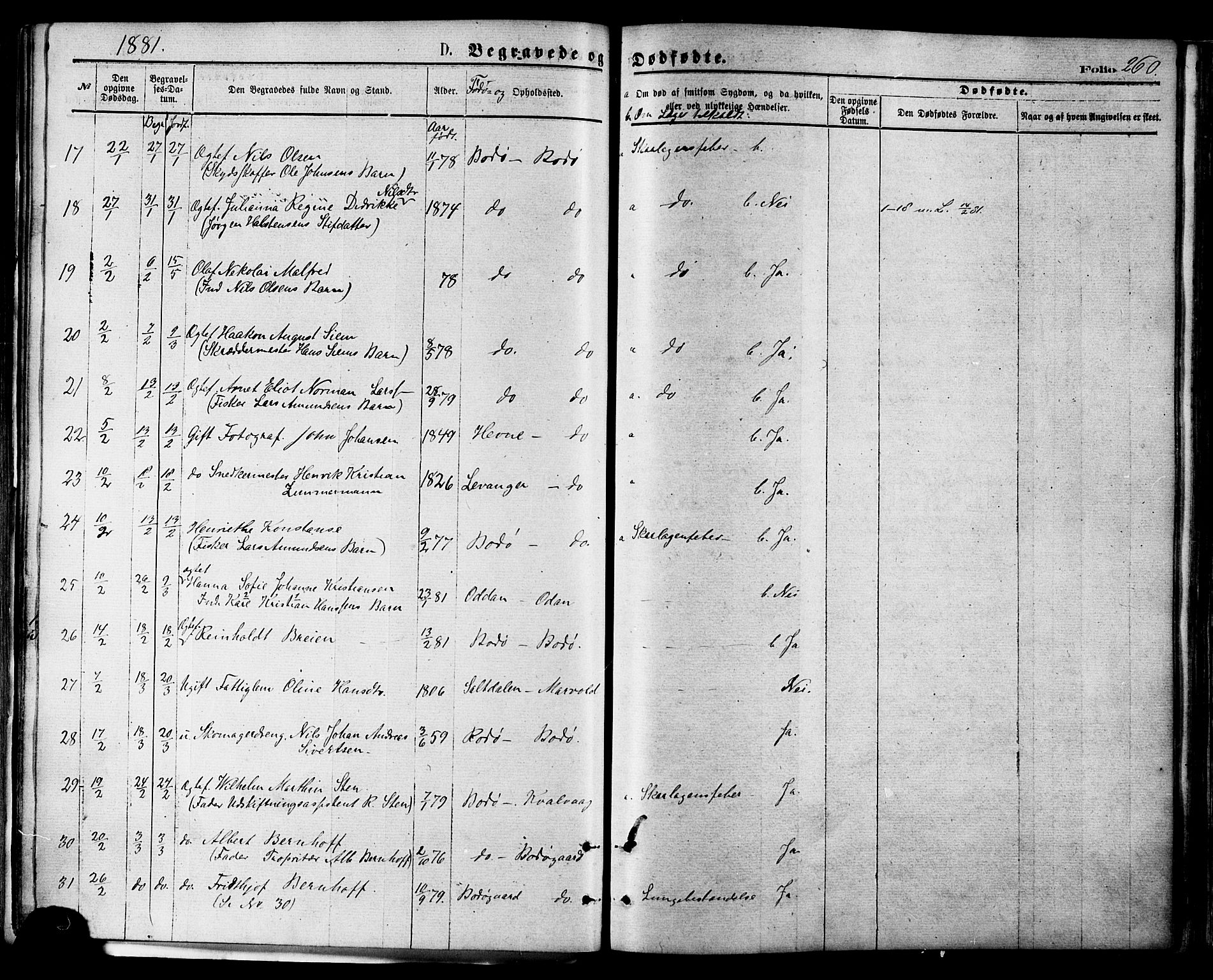 Ministerialprotokoller, klokkerbøker og fødselsregistre - Nordland, AV/SAT-A-1459/801/L0009: Parish register (official) no. 801A09, 1876-1883, p. 260