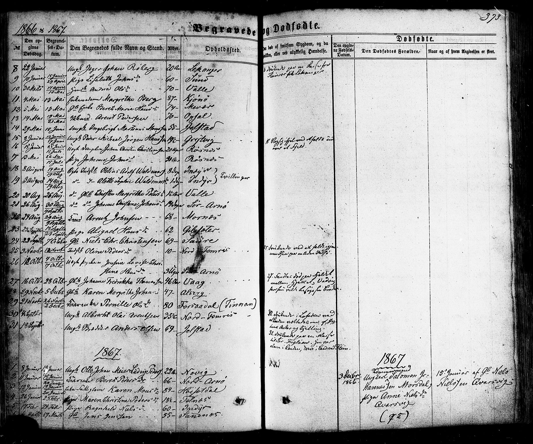 Ministerialprotokoller, klokkerbøker og fødselsregistre - Nordland, SAT/A-1459/805/L0098: Parish register (official) no. 805A05, 1862-1879, p. 373