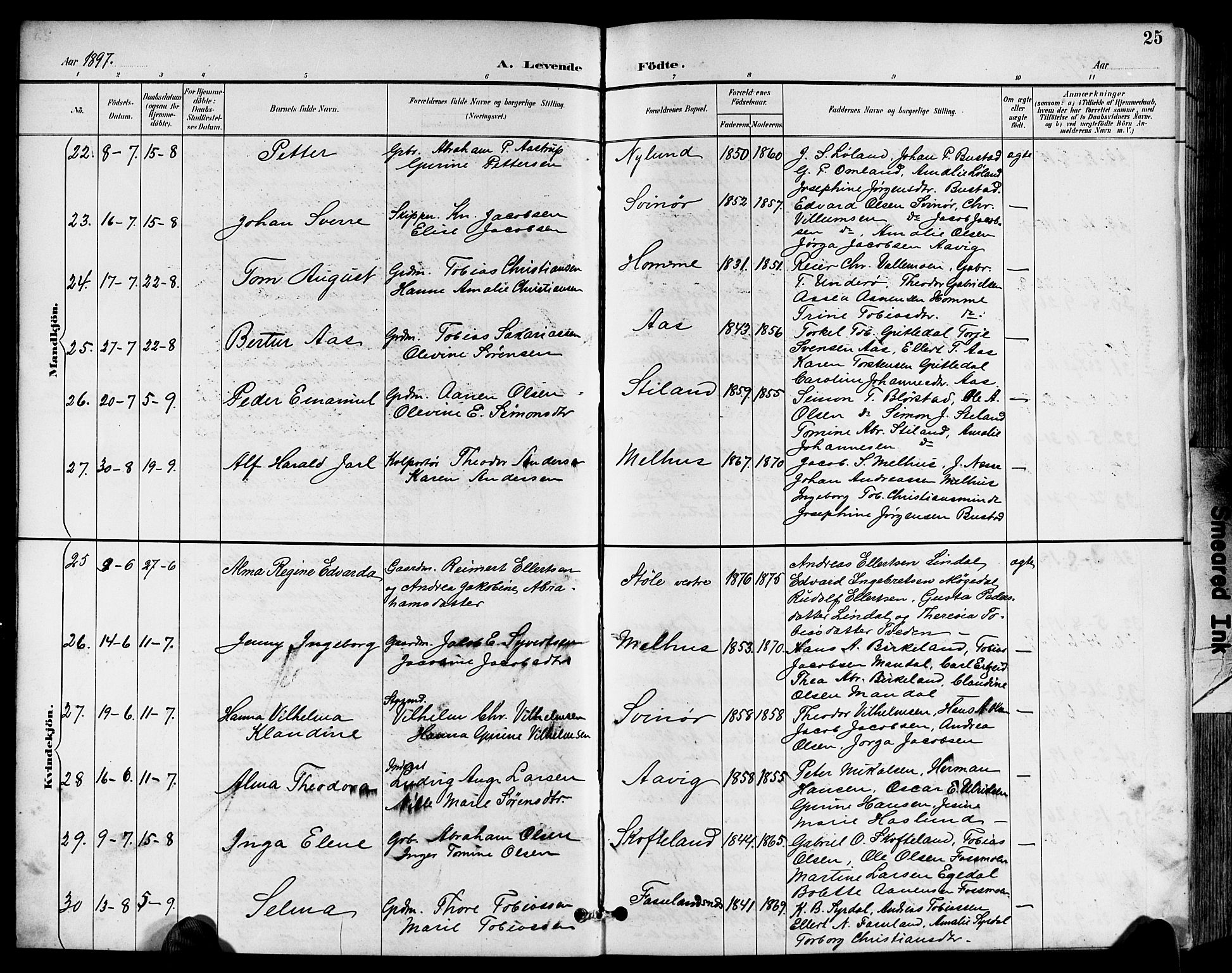 Sør-Audnedal sokneprestkontor, AV/SAK-1111-0039/F/Fb/Fbb/L0006: Parish register (copy) no. B 6, 1893-1915, p. 25