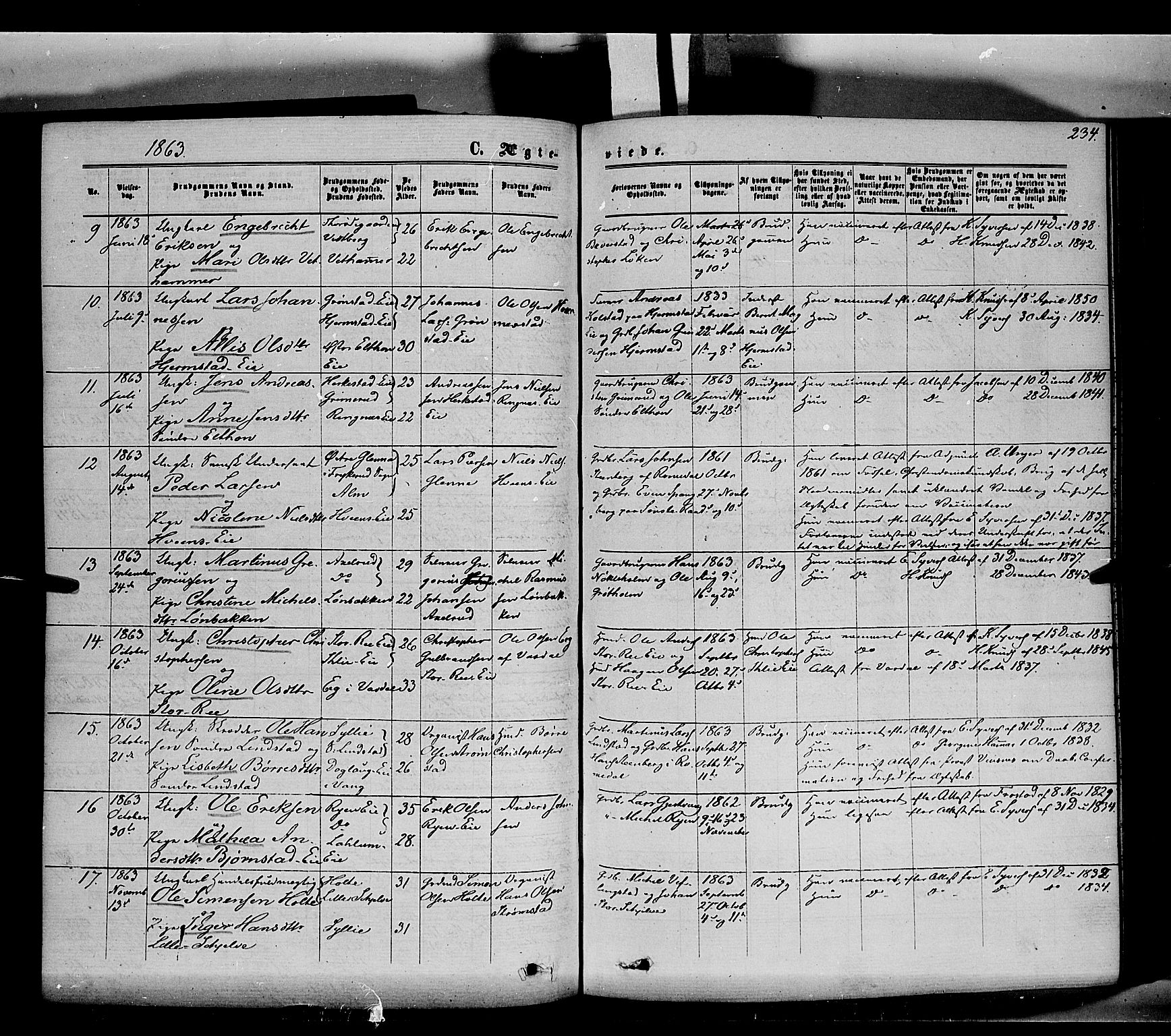 Stange prestekontor, SAH/PREST-002/K/L0013: Parish register (official) no. 13, 1862-1879, p. 234