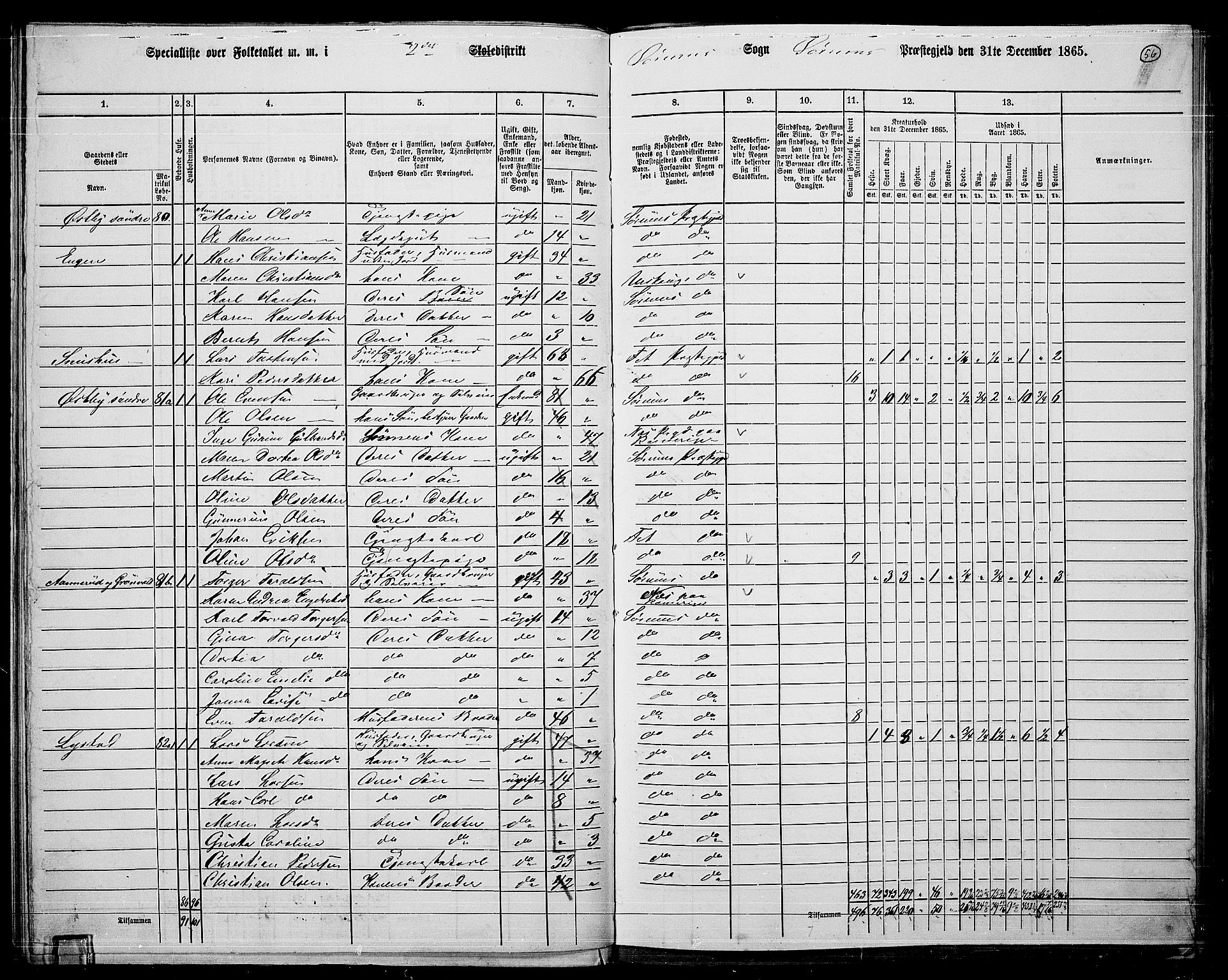 RA, 1865 census for Sørum, 1865, p. 54