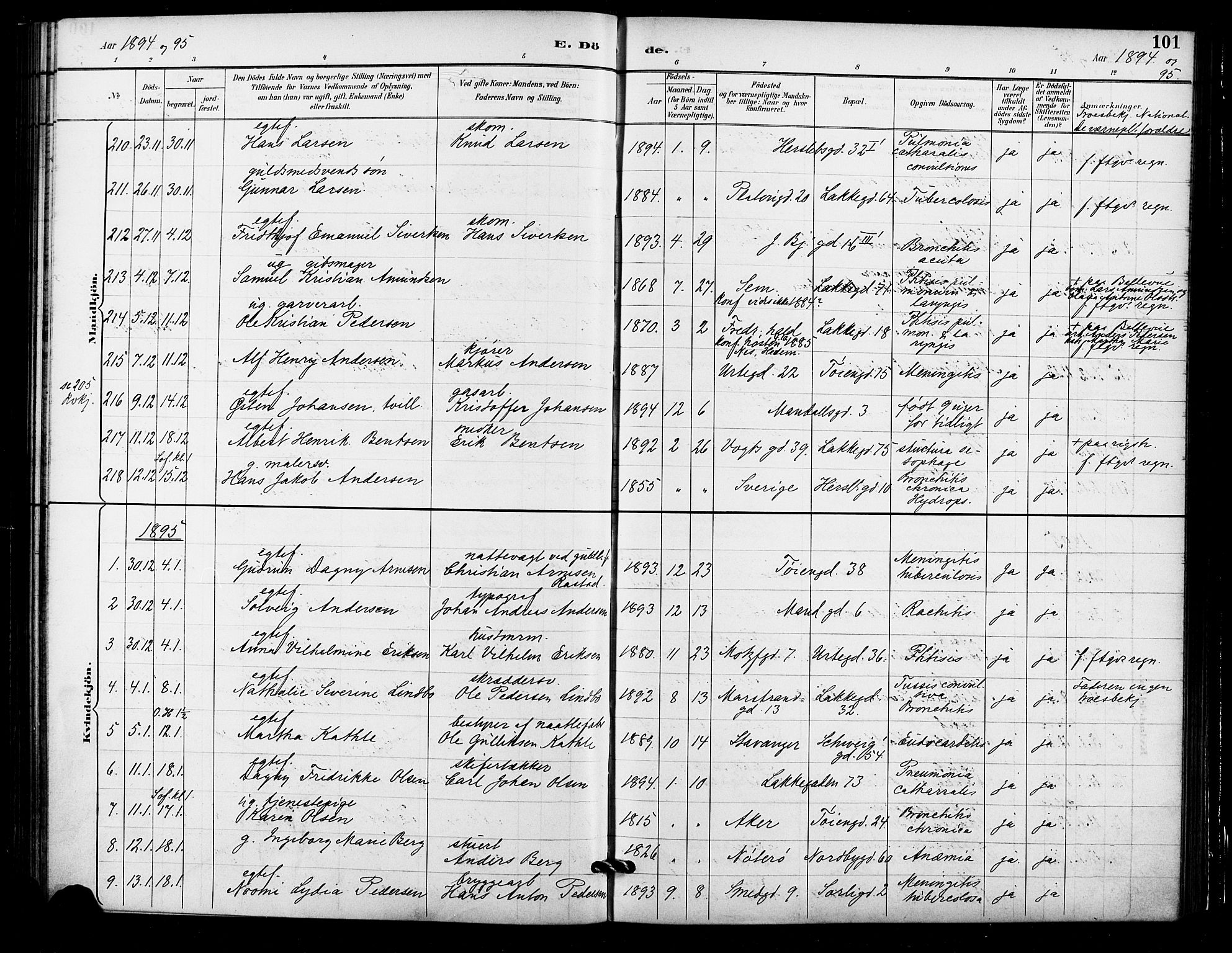 Grønland prestekontor Kirkebøker, AV/SAO-A-10848/F/Fa/L0010: Parish register (official) no. 10, 1891-1898, p. 101