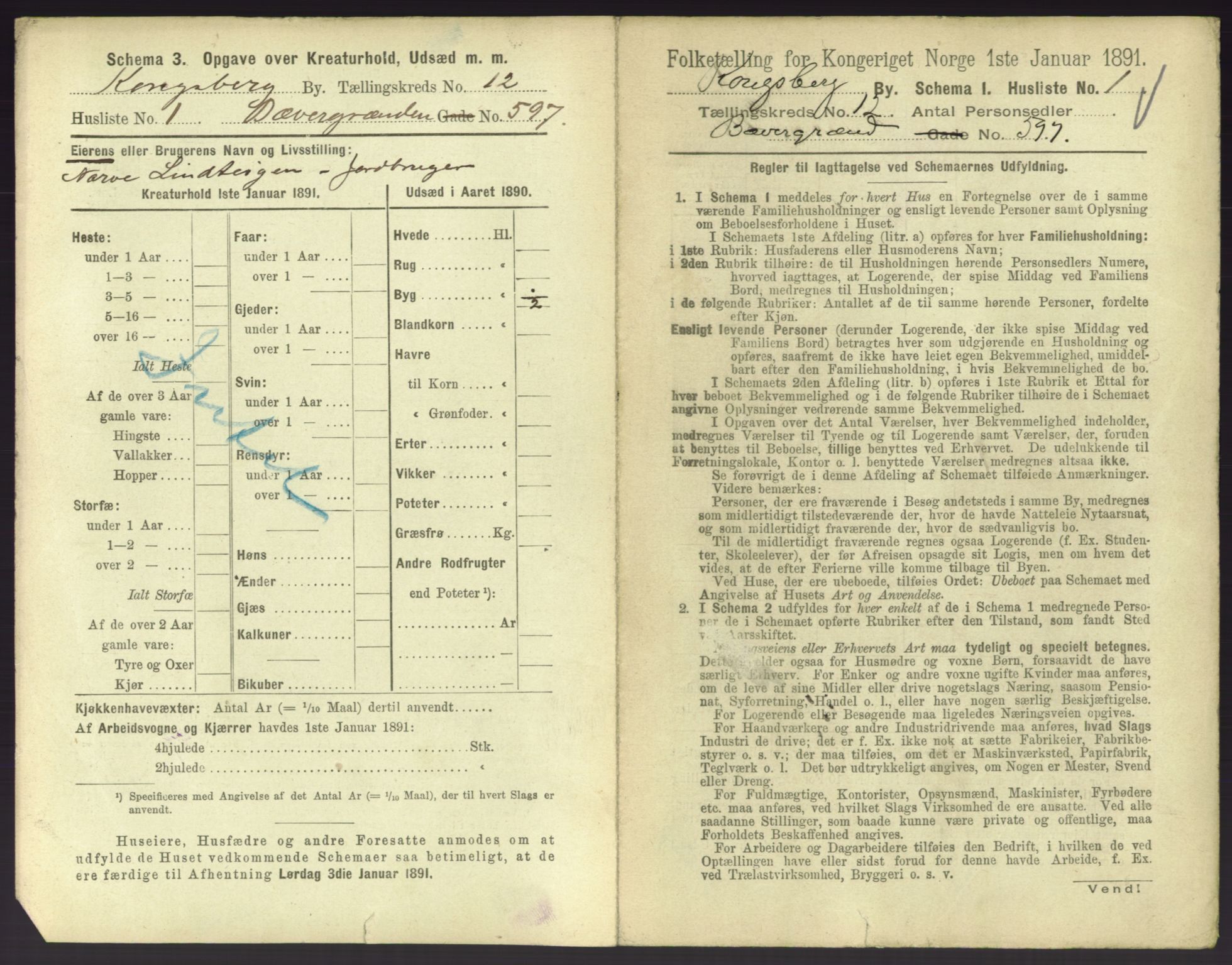 RA, 1891 census for 0604 Kongsberg, 1891, p. 1505